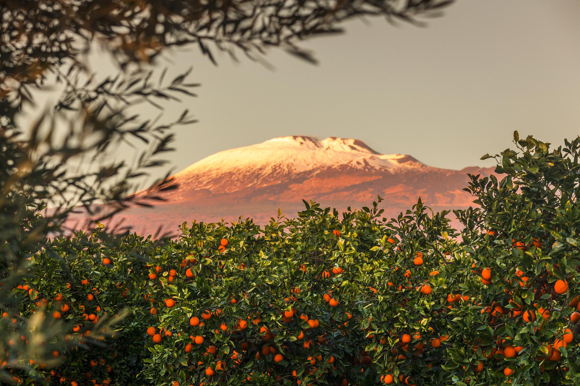 Etna, arance