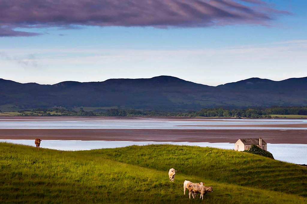 Ballysadare Bay