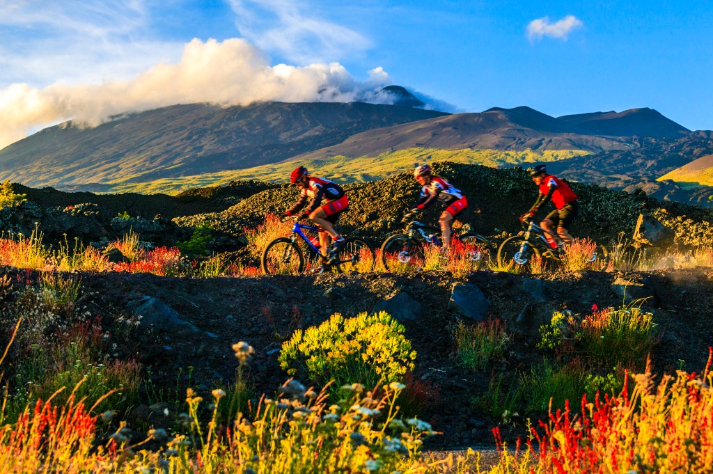 Escursione in mountain bike tra i fiori d'alta quota