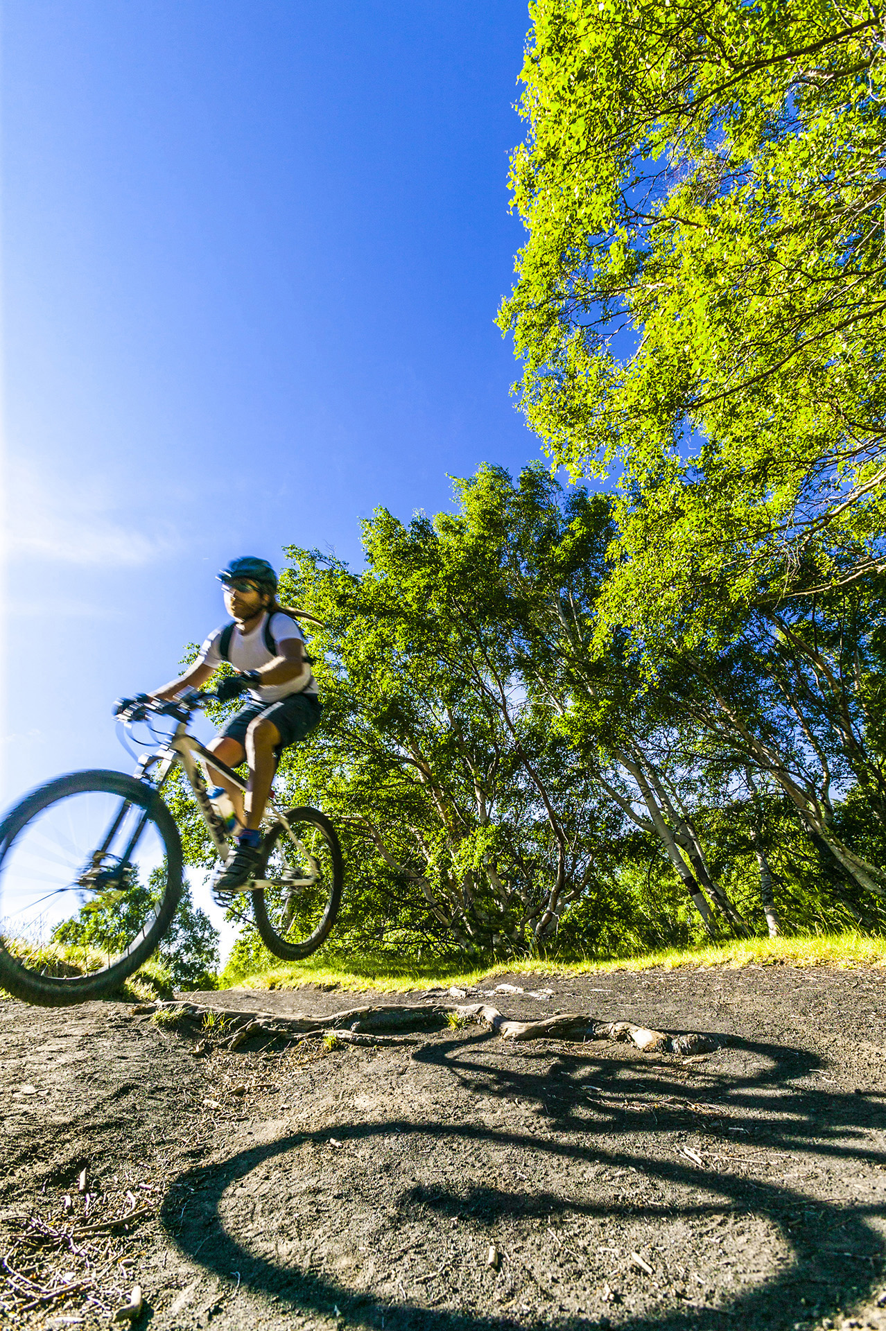 de7u2182-3-Mountain bike tra i boschi di Betulle sull’Etna