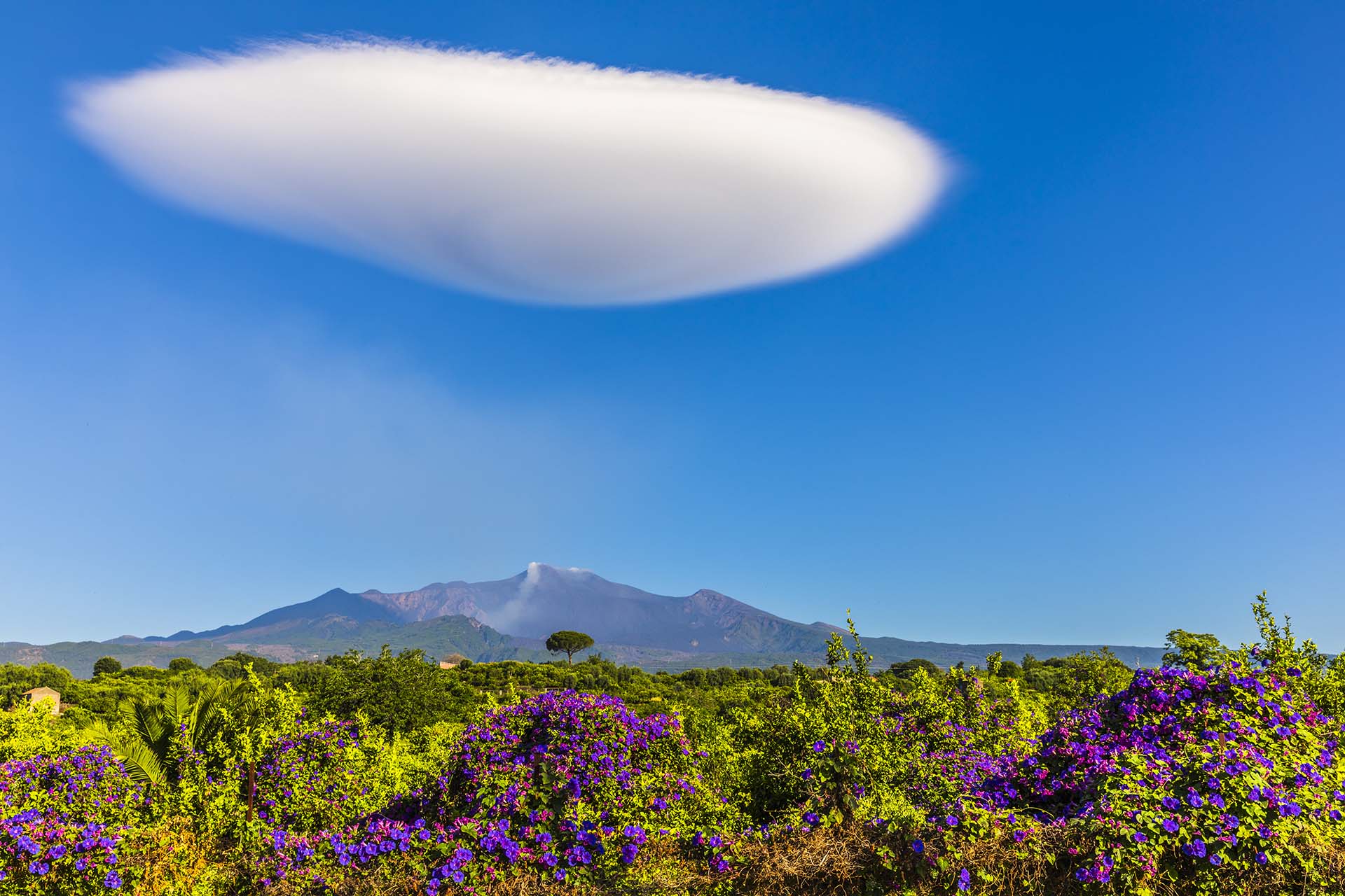 Nuvola lenticolare chiamata a Cunttissa dell'Etna