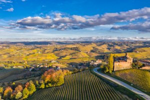 Paesaggio delle langhe, terra del Barolo.