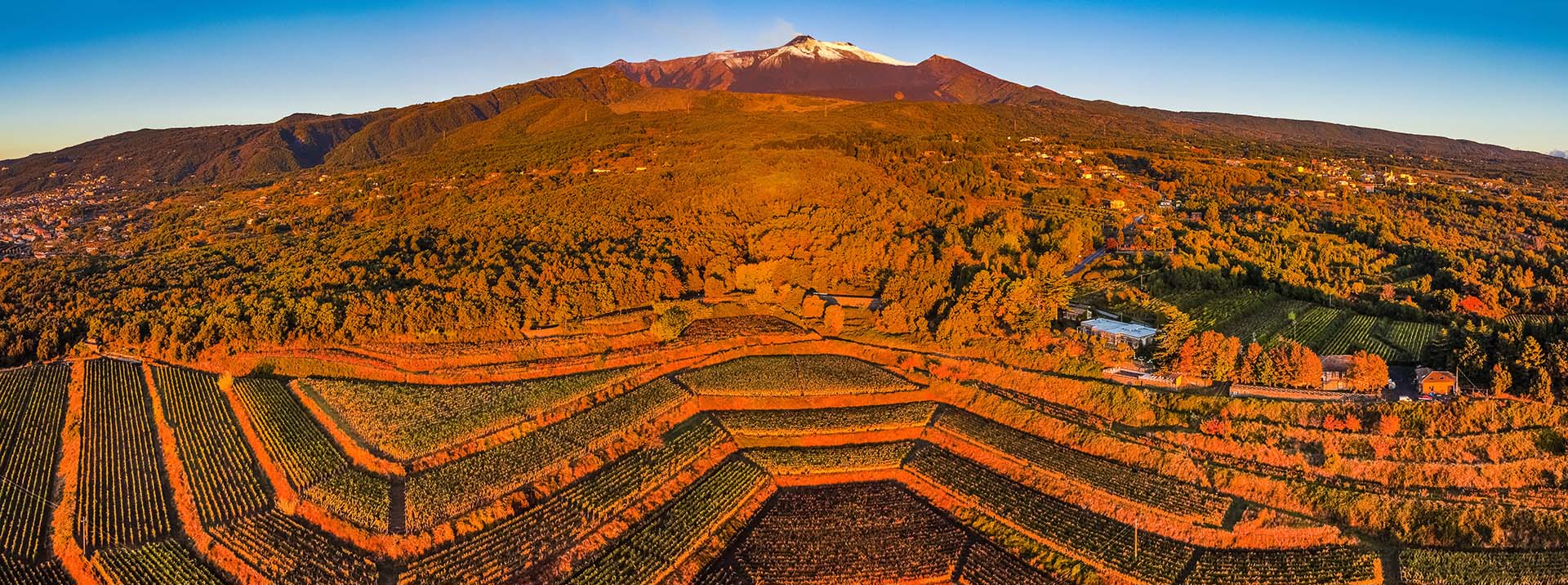 Terrazzamenti sull'Etna