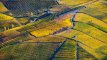 Vigneti delle Langhe in piemonte