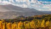 Vigneti di Sangiovese e il Castello Di Velona sullo sfondo.
