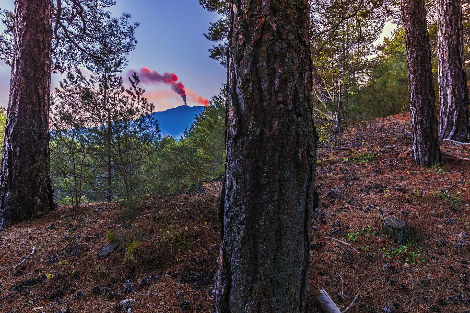 Etna in eruzione vista dalla pineta Ragabo