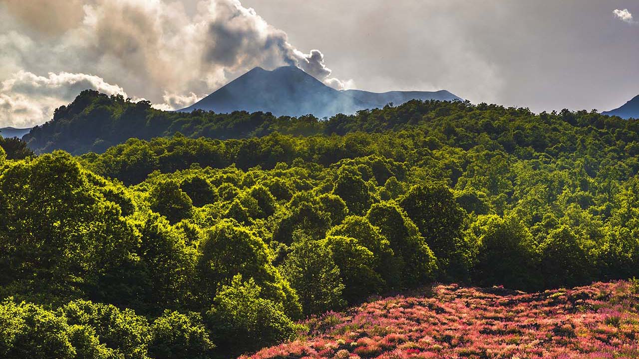Etna, colata lavica infiorata tra i boschi