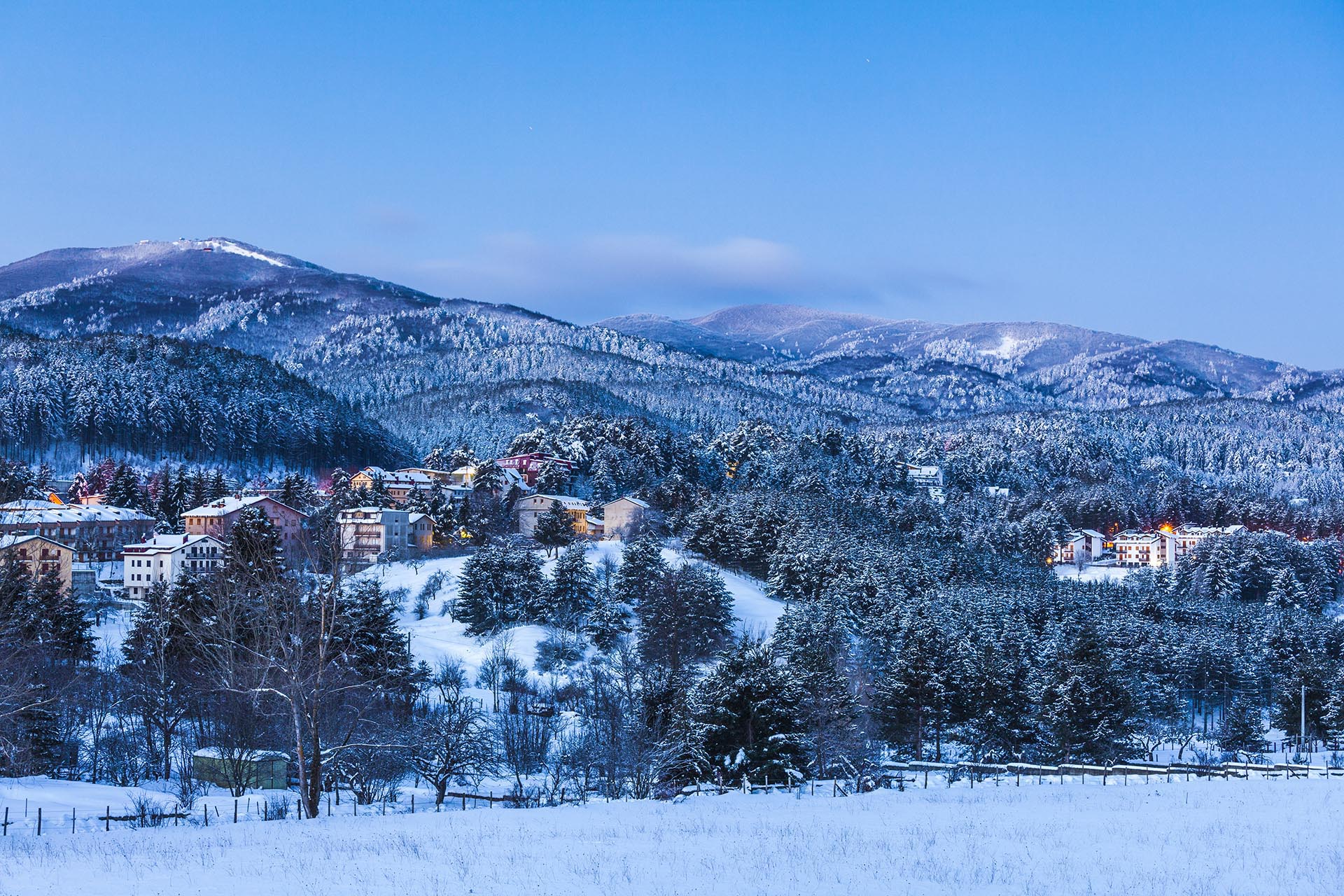 MG_2735-Calabria, Parco Nazionale della Sila, Camigliatello