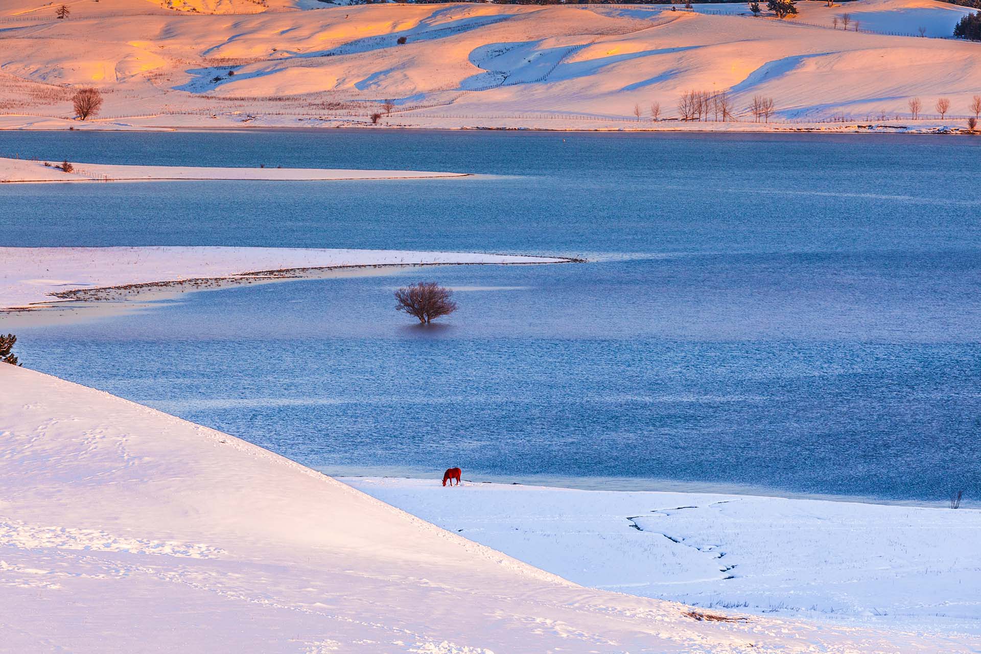MG_2774-Calabria, Parco Nazionale della Sila, Lago Cecita