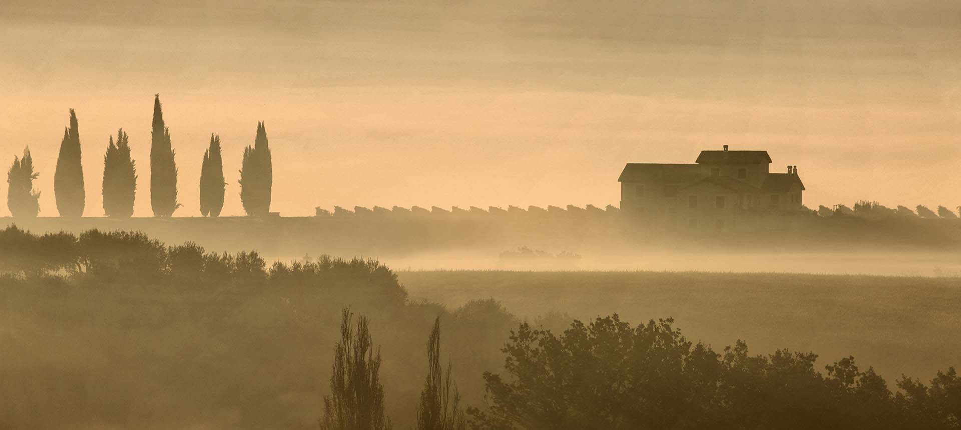 Paesaggio collinare nei pressi di Montefalco in UMBRIA. Photo Copyright © by Massimo Ripani.