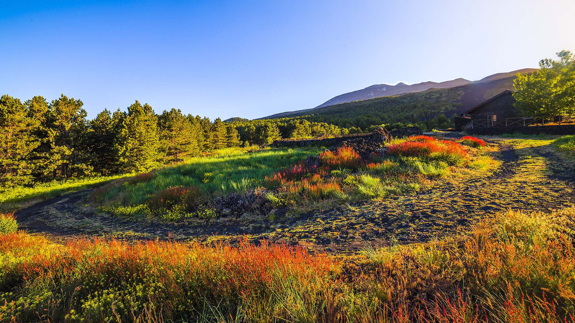 Etna, pista Altomontana, rifugio Carpinteri