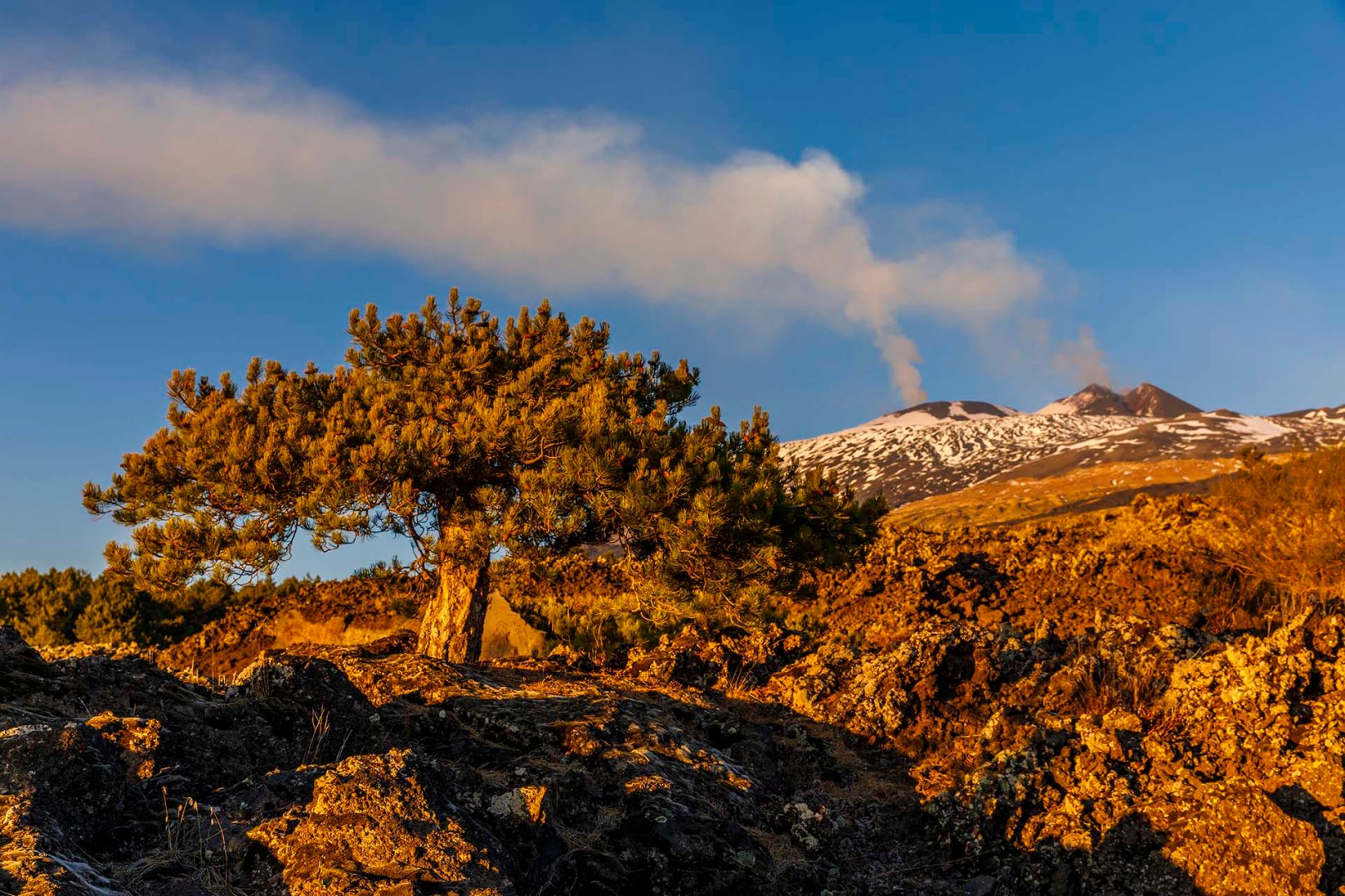 Etna, doppia fumata dai crateri sommitali visti dalla pista Altomontana.
