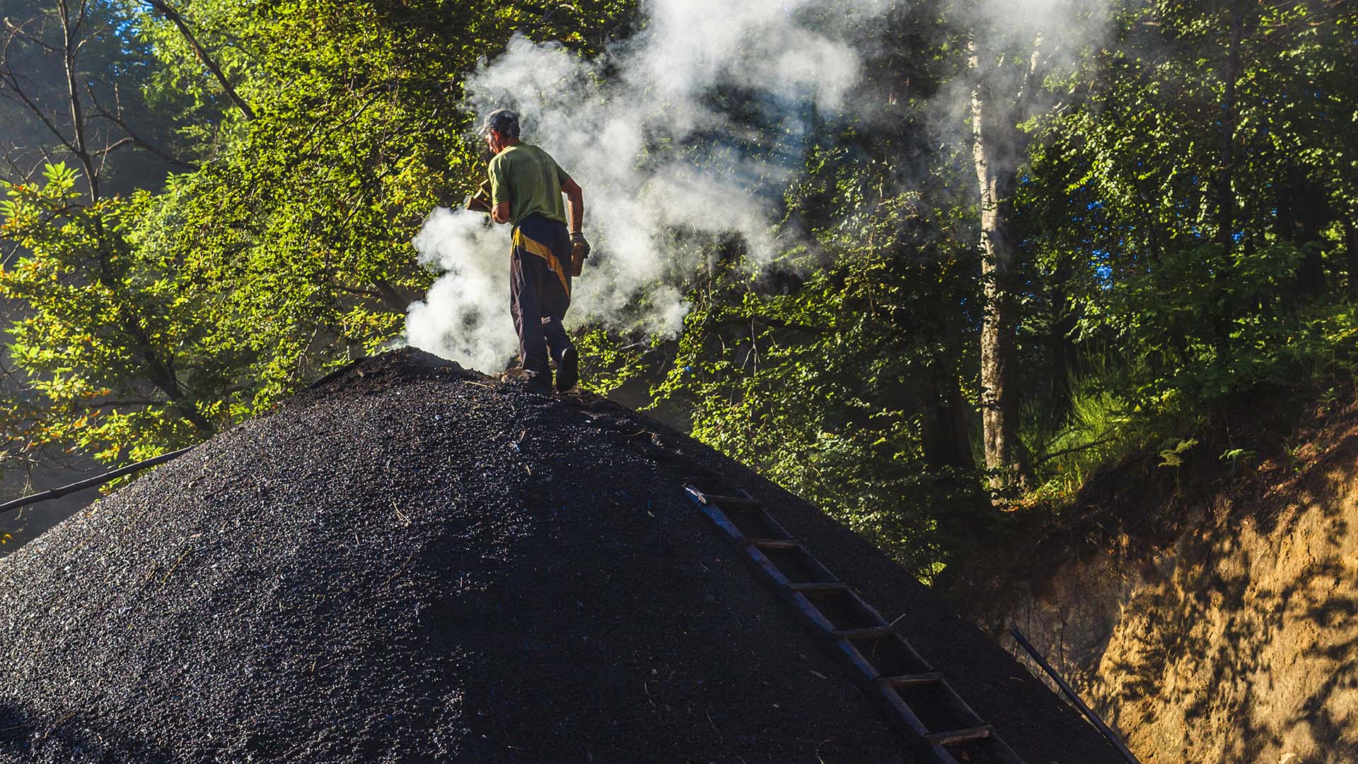 Calabria, preparazione del carbone vegetale nel paesino di Serra San Bruno