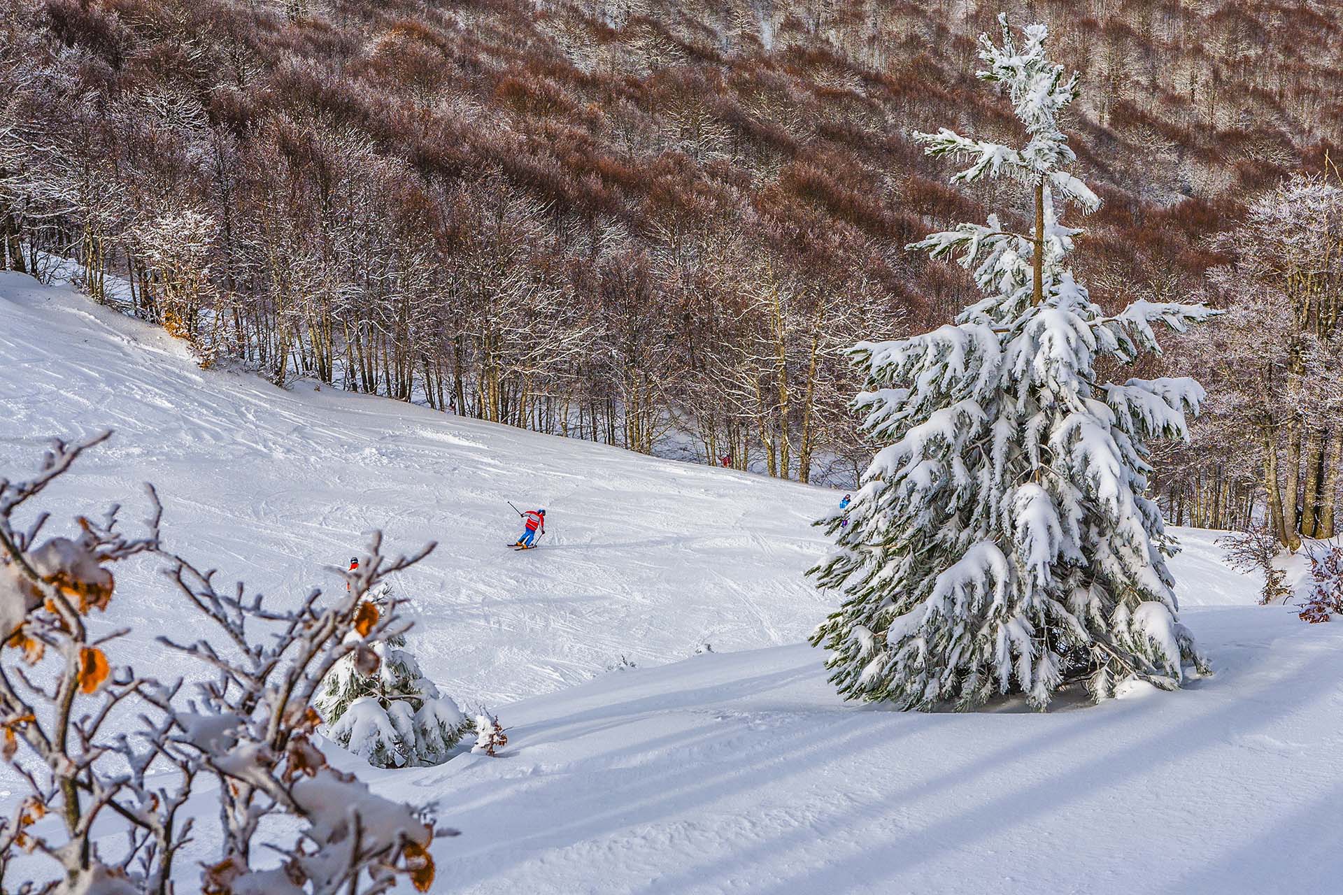 MG_2185-Calabria, Parco della Sila, Monte Botte Donato, pista sciistica Valle dell’Inferno