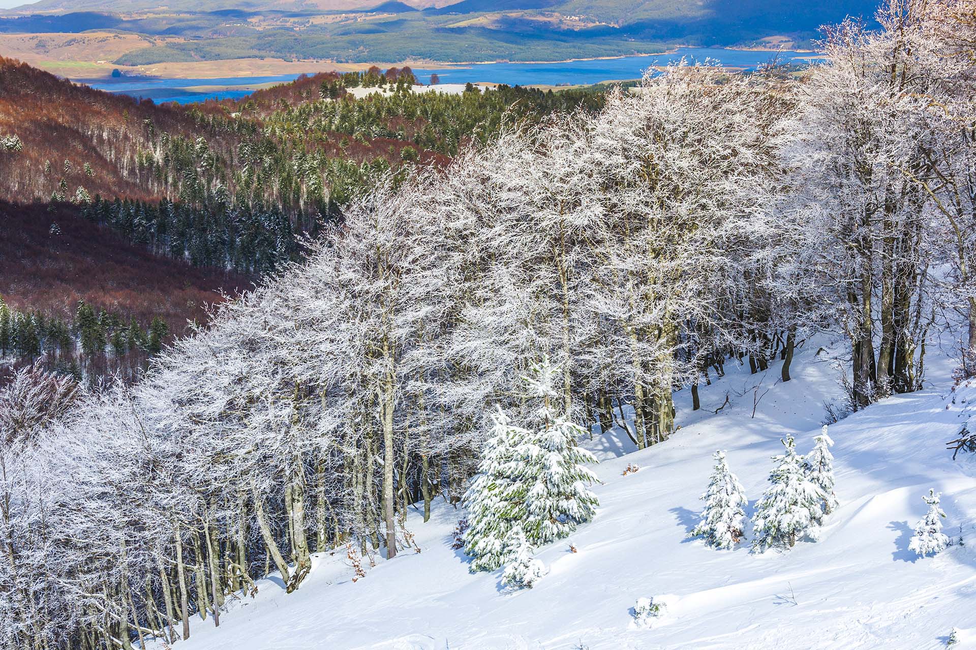 MG_2524-Calabria, Parco della Sila, Monte Botte Donato e il lago Cecita