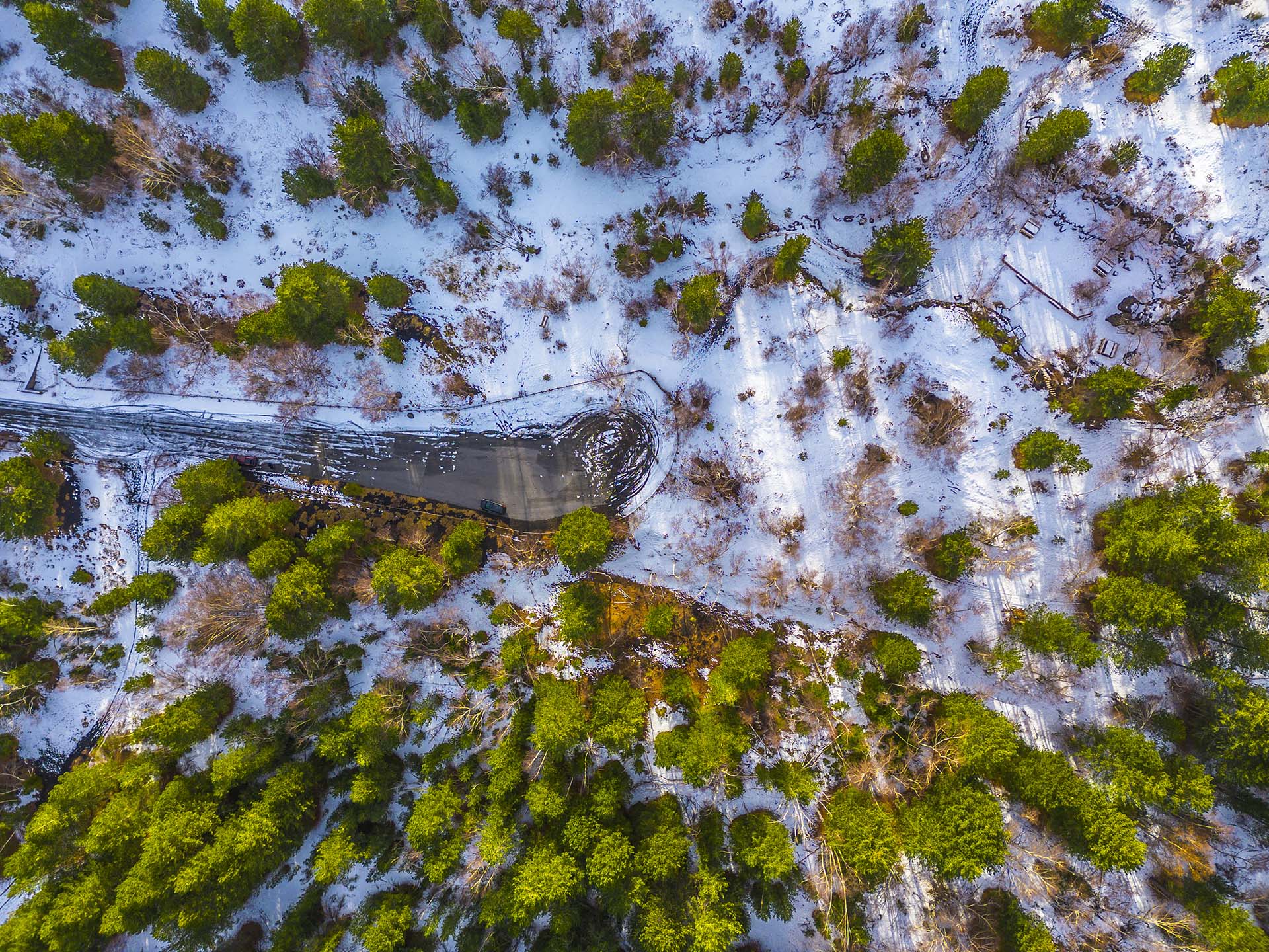Etna versante nord, il bosco in inverno sotto i Monti Conconi