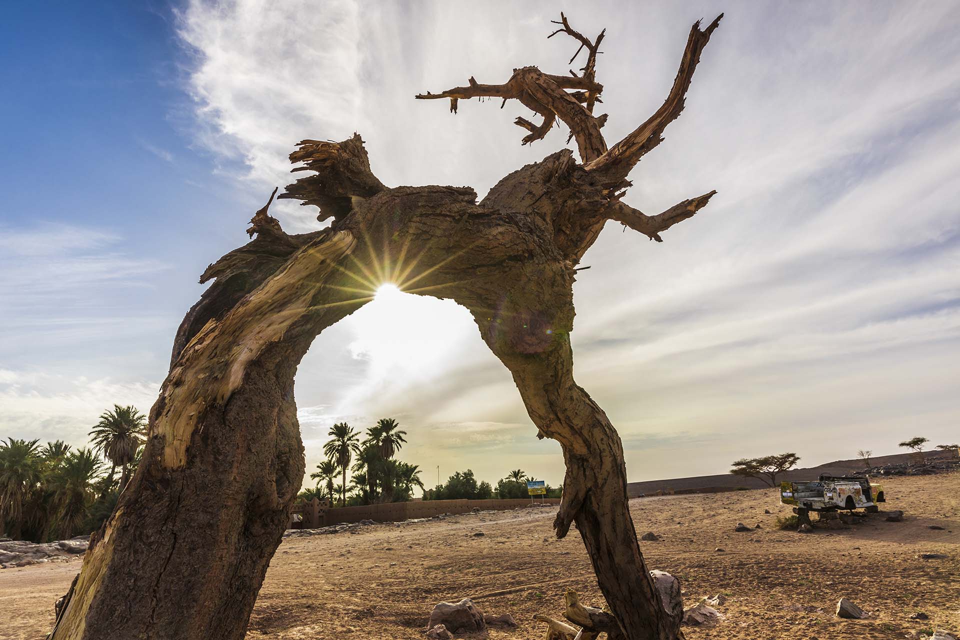 Marocco, deserto di Zagora, Oasis Sacrèe