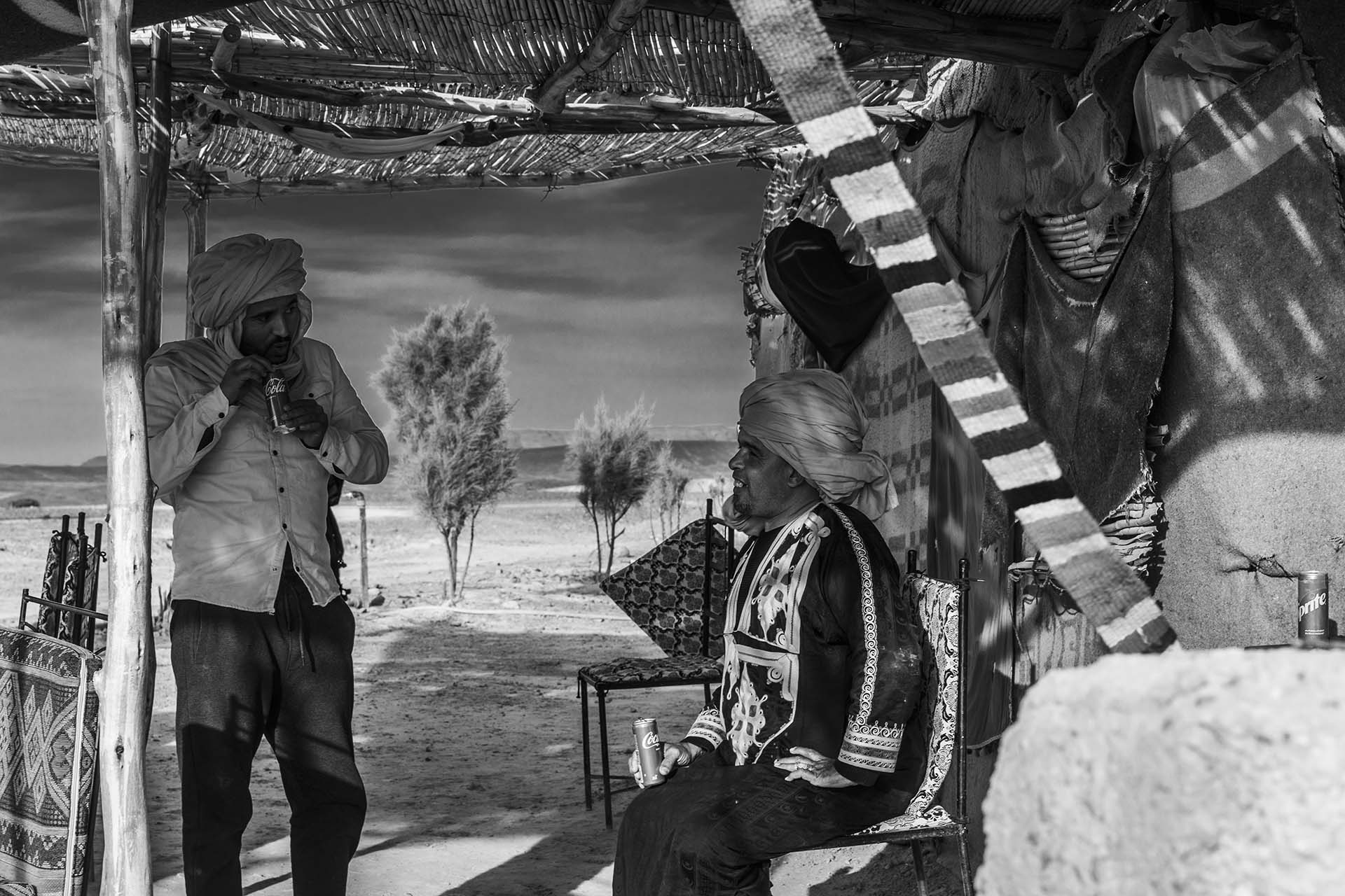 Marocco, deserto di Zagora, sculture arboree nell'Oasis Sacrèe