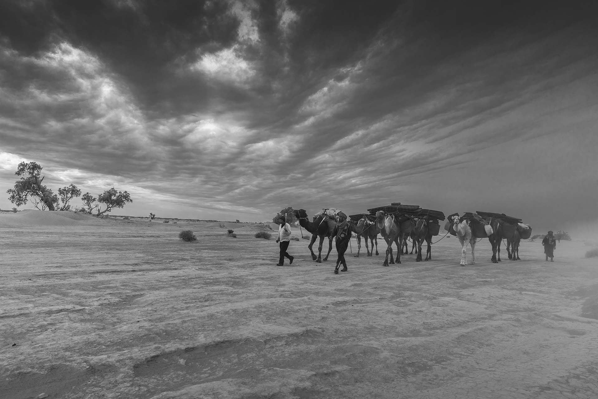 Marocco, carovana di Tuareg e Dromedario nel deserto di Zagora