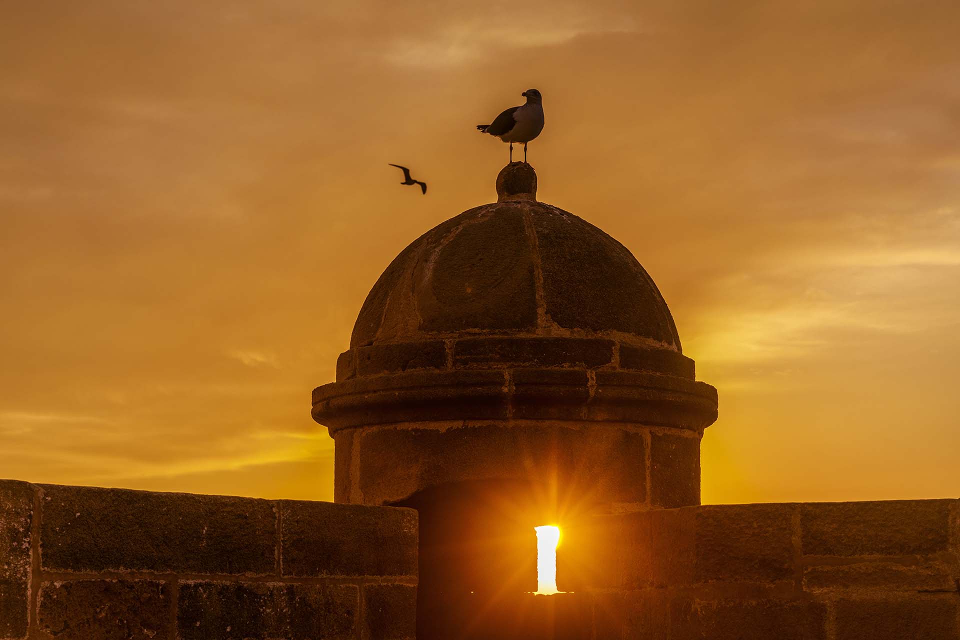Marocco, la garitta della fortezza di Essaouira