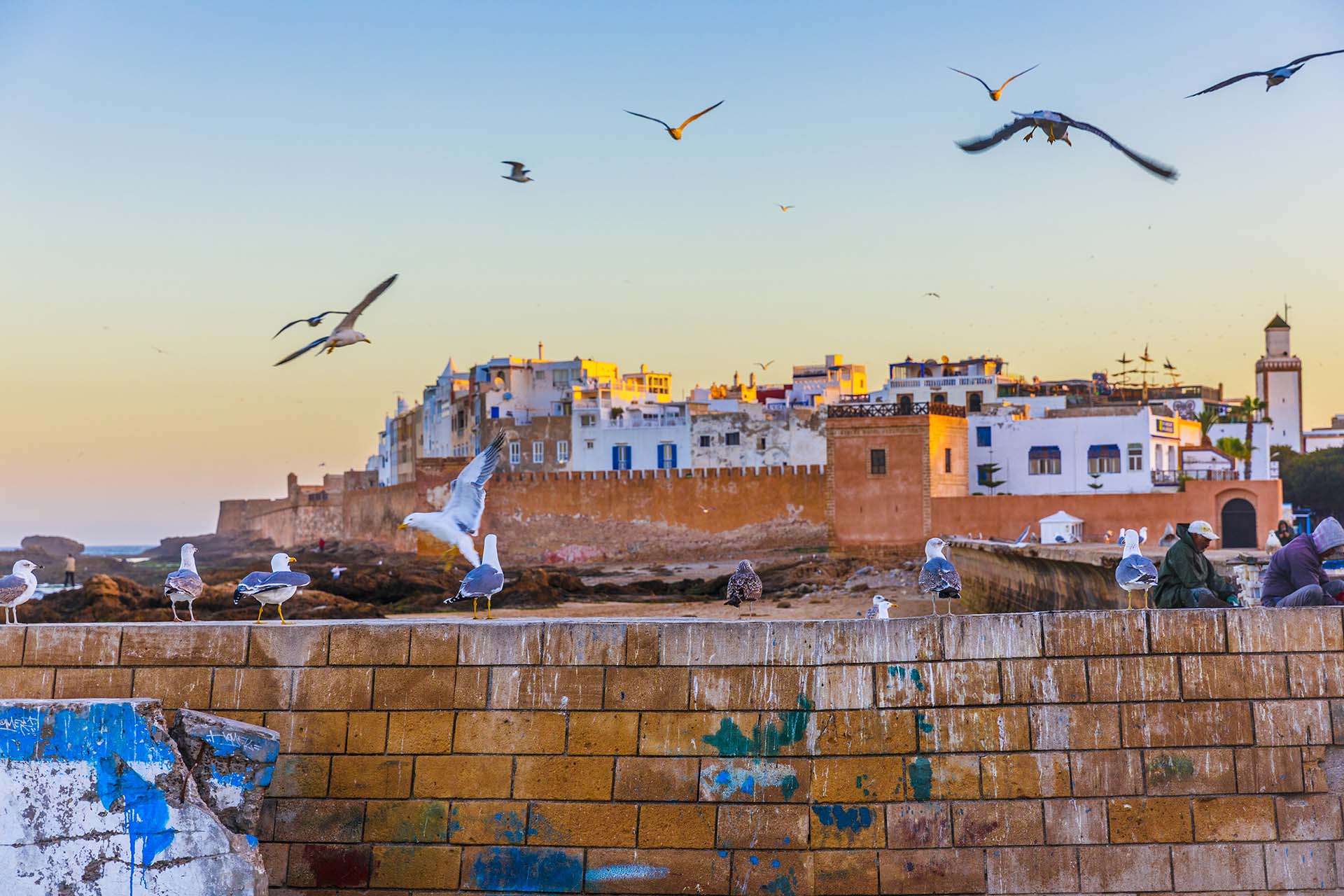 Marocco, la Medina di Essaouira vista dal porto