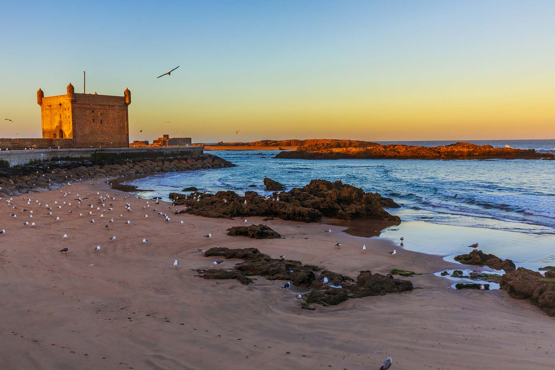 Marocco, la spiaggia e la scogliera del Castelo Real di Mogador ad Essaouira
