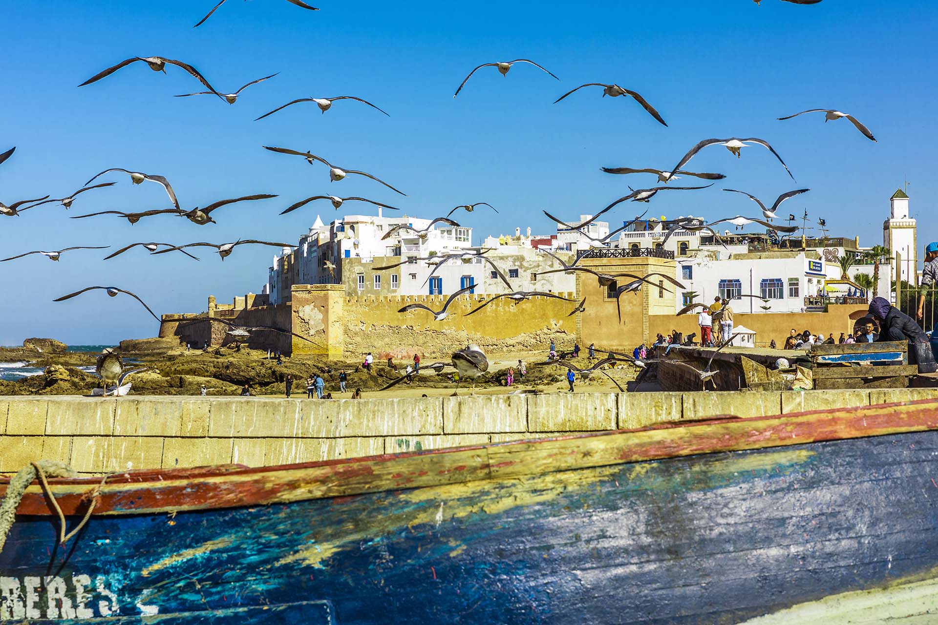 Marocco, la Medina di Essaouira e i gabbiani