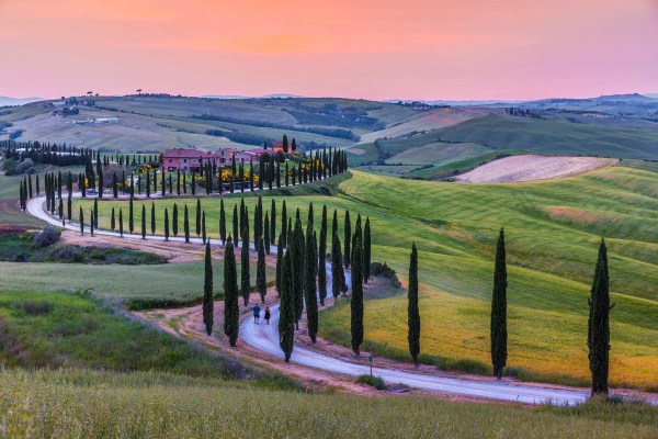 Toscana Val d'Orcia, viale alberato dai cipressi a Crete Senesi