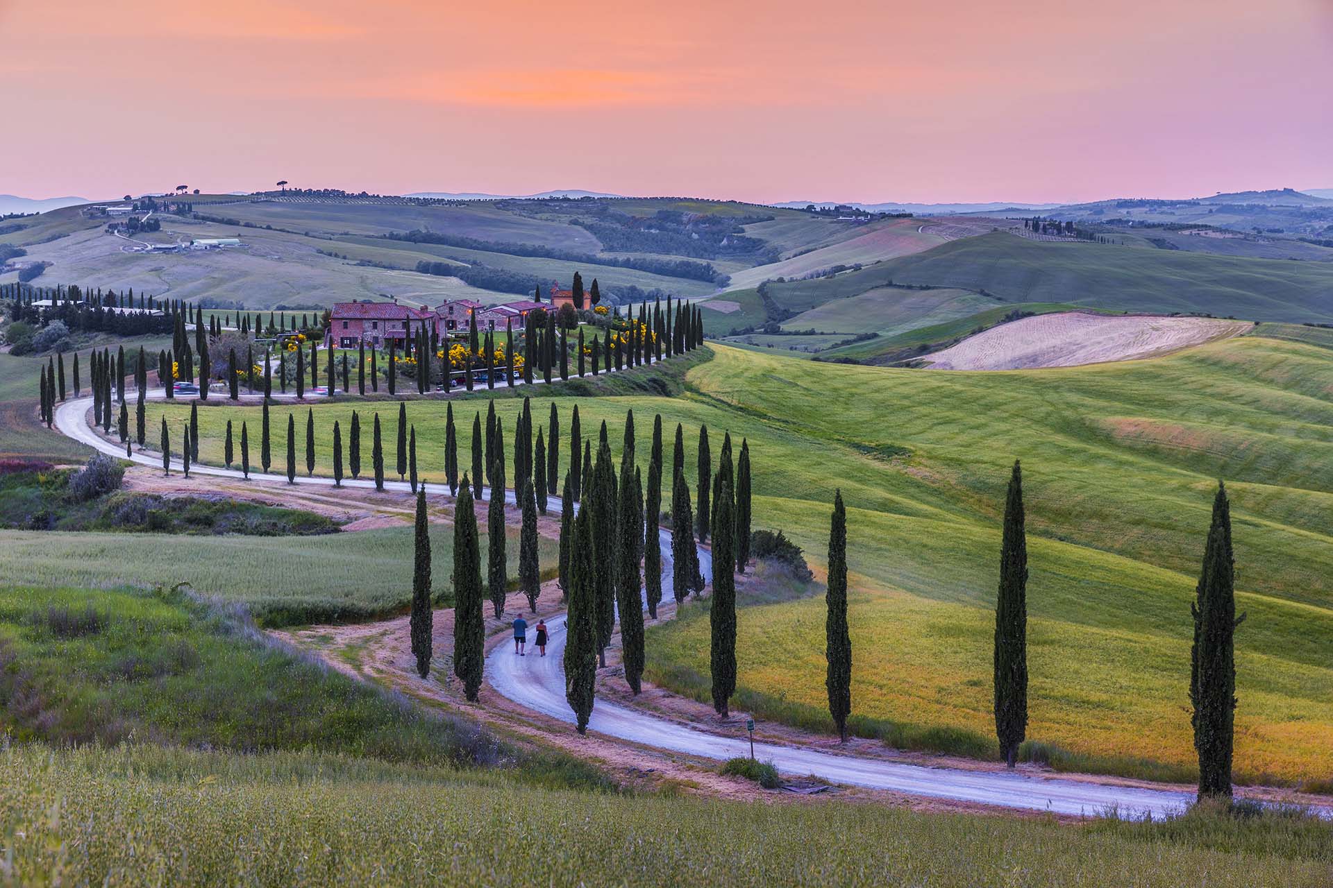 Toscana Val d'Orcia, viale alberato dai cipressi a Crete Senesi