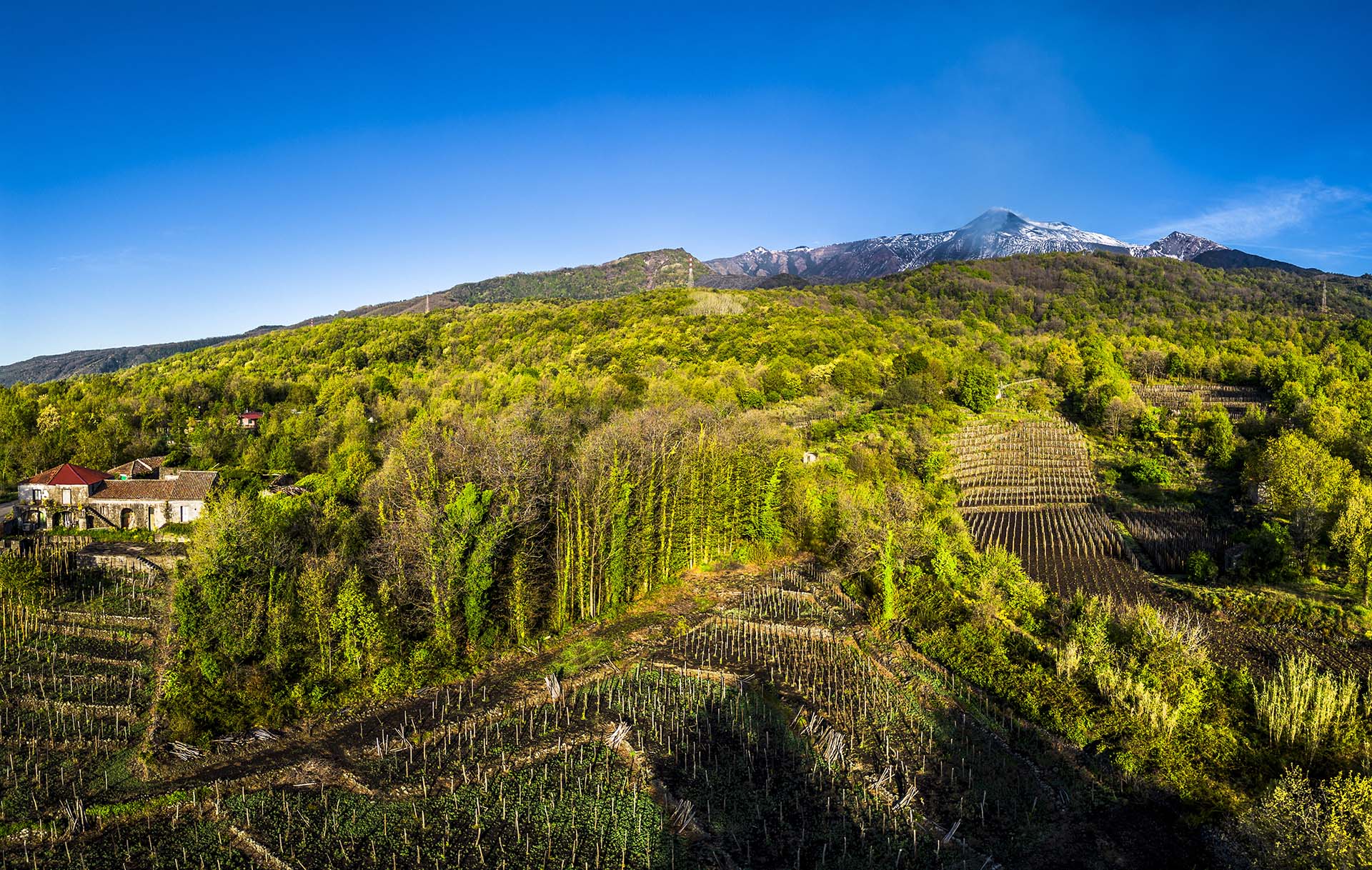 Etna, tra vigna e bosco in contrada Caselle