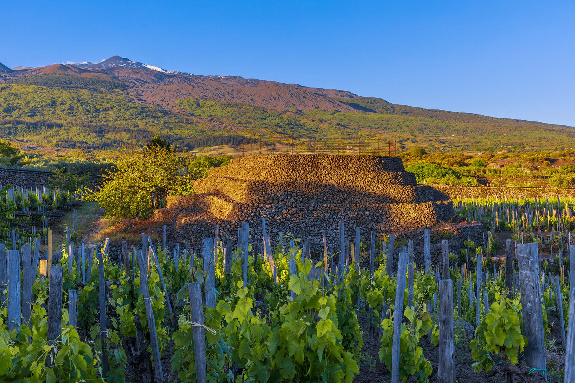 Etna, Piramide di pietra lavica tra i vigneti di Passopisciaro