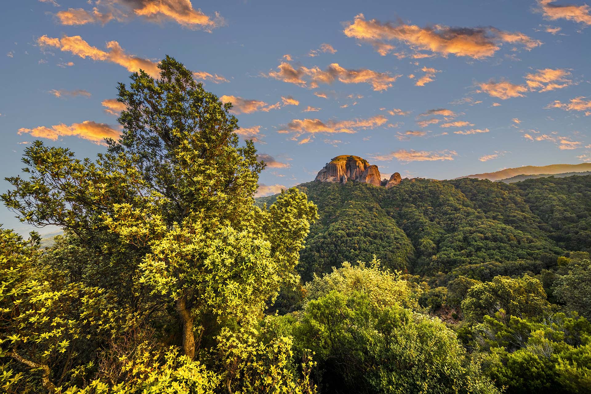 Calabria, Parco Nazionale dell’Aspromonte, bosco di Pietra Cappa, monolite più alto d'Europa