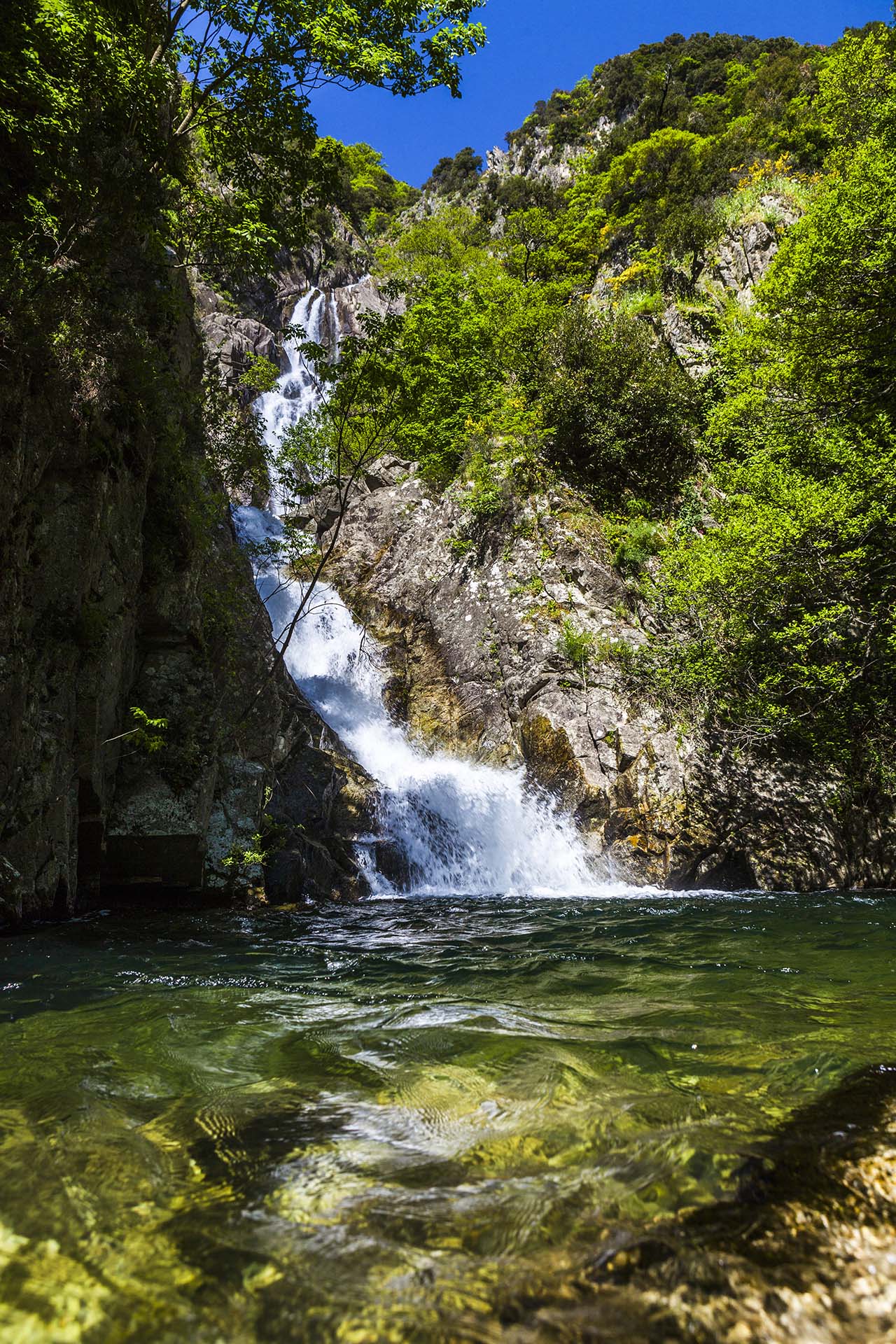 Photo by © Alessandro Saffo 2024 – All rights reserved.