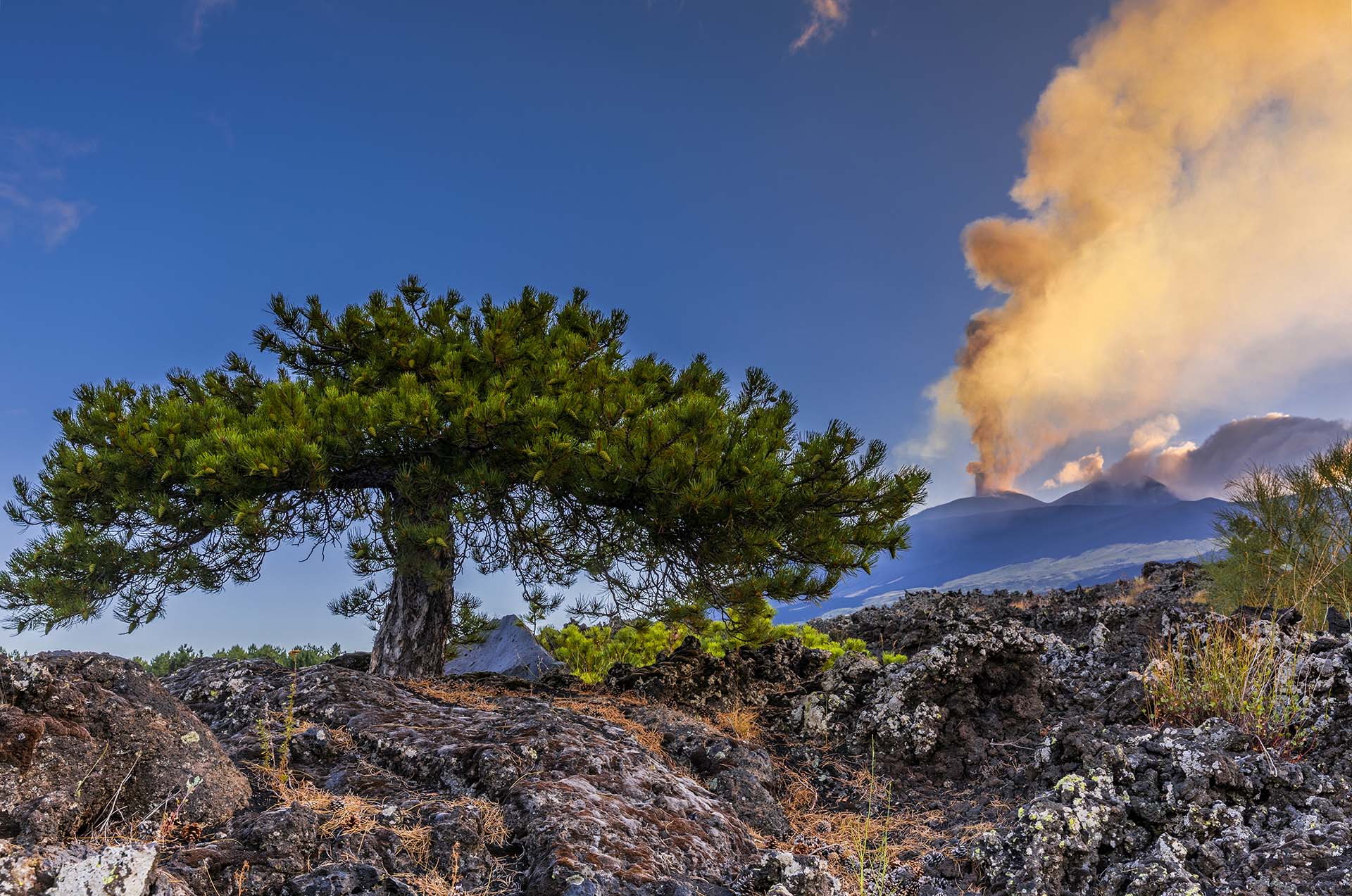 Etna, eruzione dal centrale vista dal versante sud
