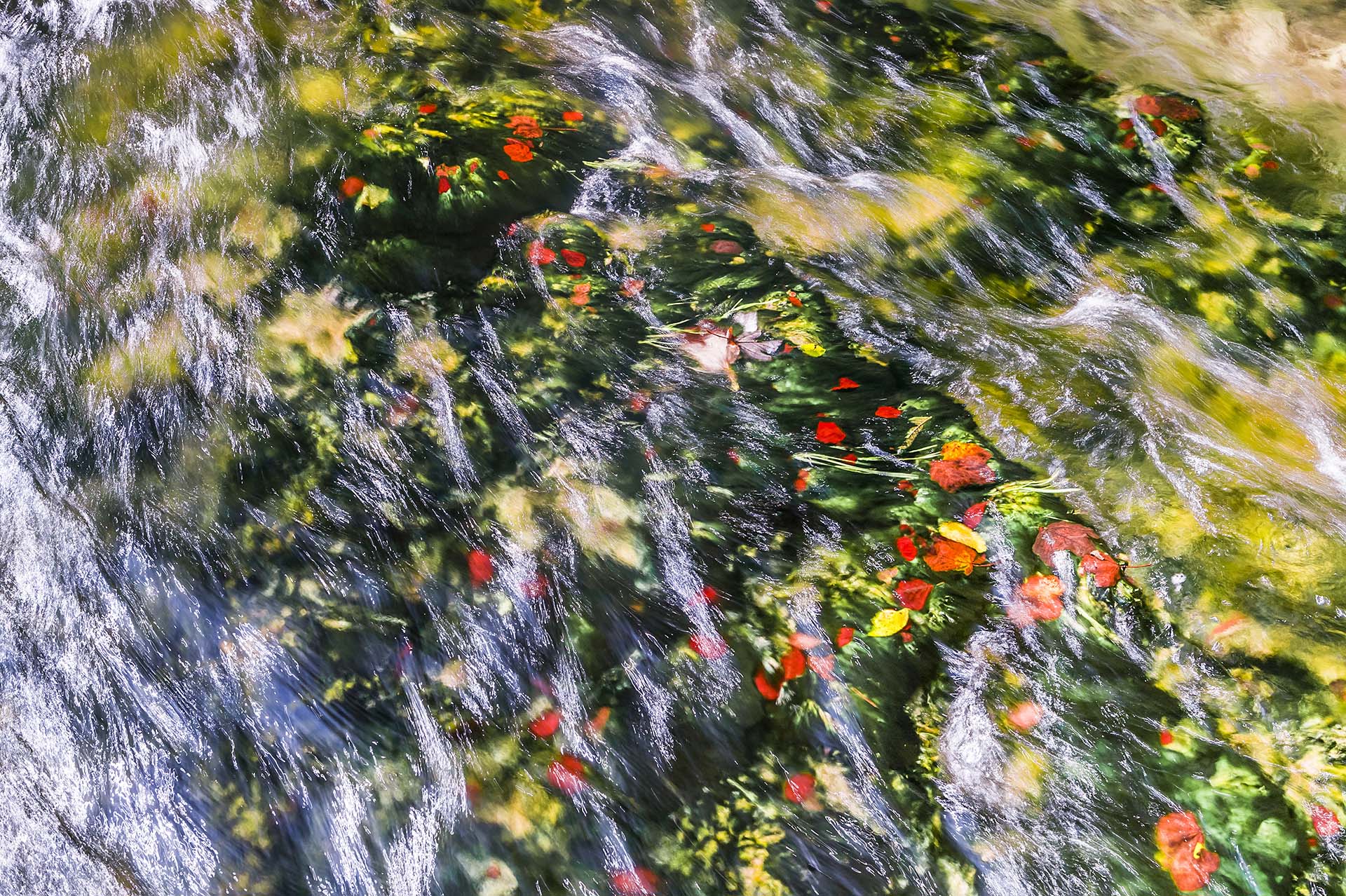 Croazia, Parco Nazionale Plitvice riflessi sull'acqua