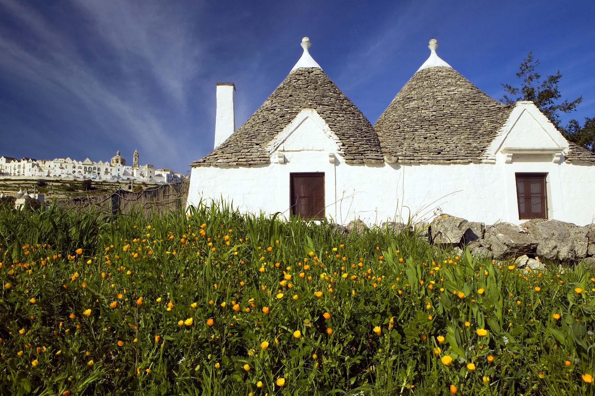 Puglia, i Trulli di Locorotondo