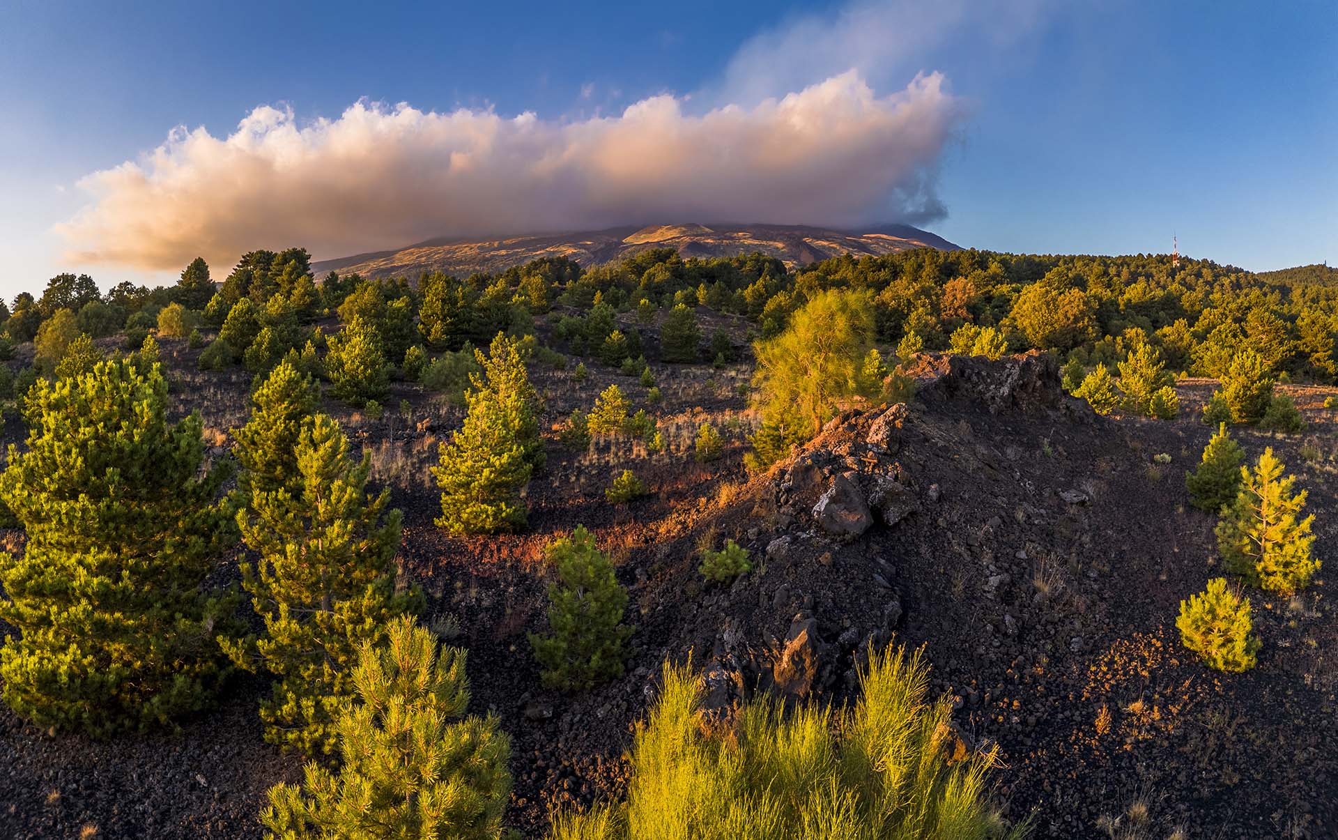 Etna, tra bosco e lava nel territorio della Milia
