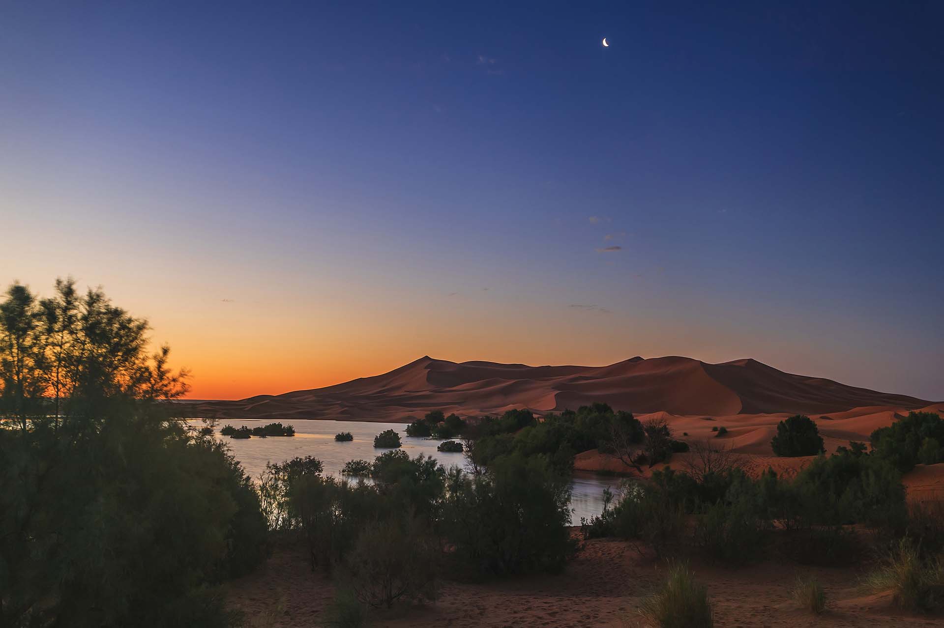 Marocco, Merzouca, Oasi nel deserto di Erg Chebbi, lago Dayet Srji