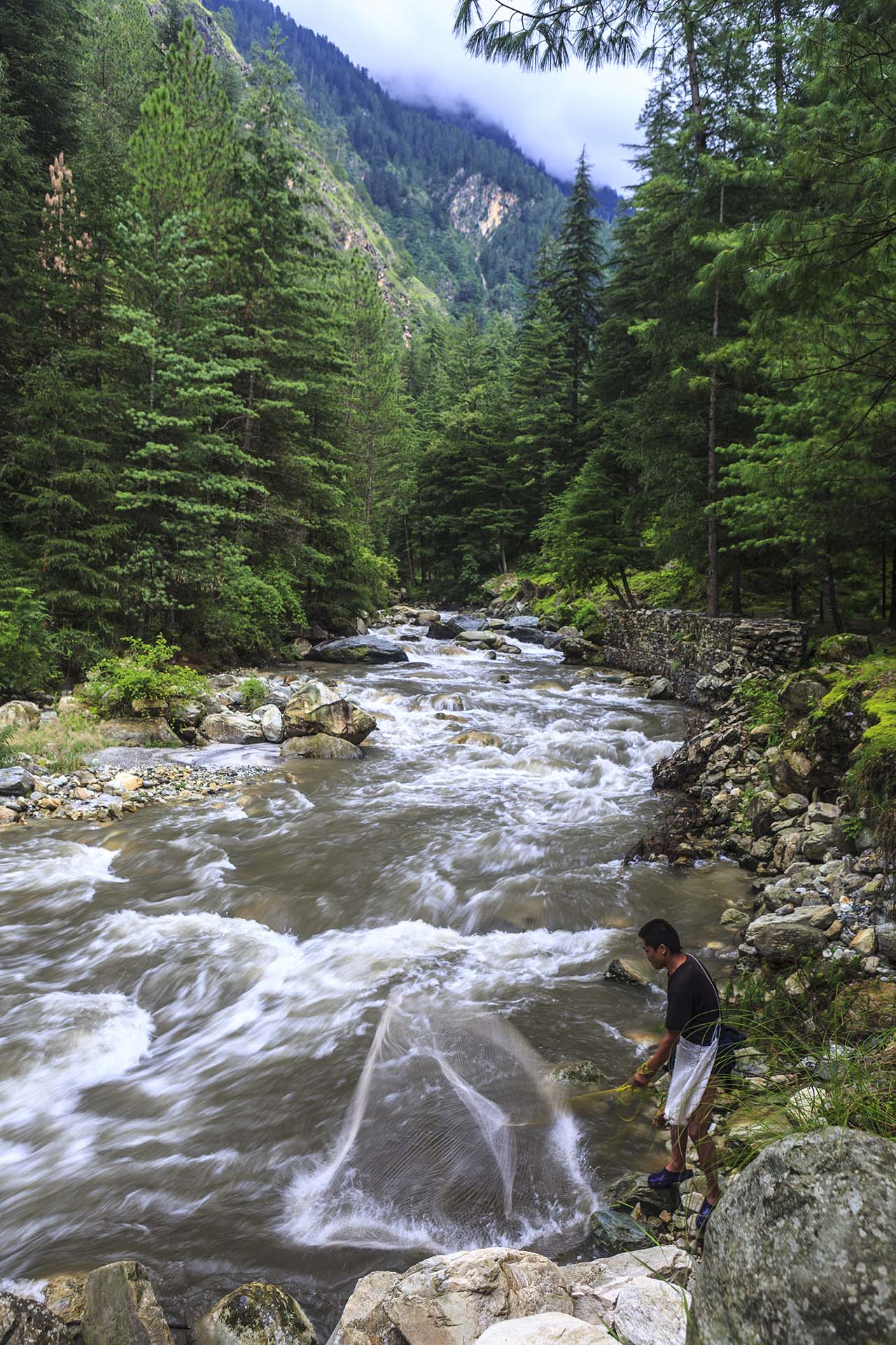 India, Valle del Parvati, pescatore nel fiume Parvati a Kasol