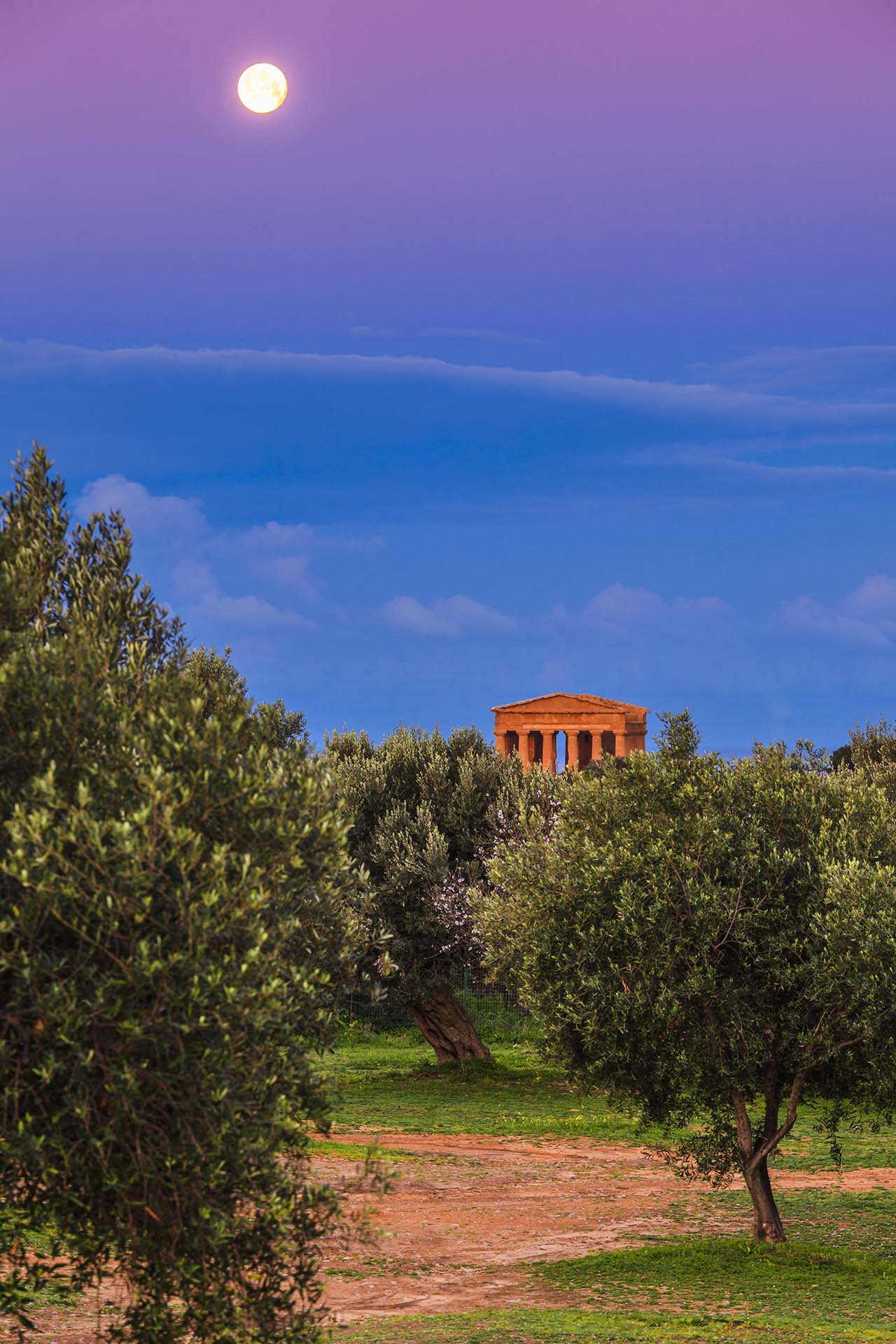 Agrigento capitale della cultura 2025, il Tempio della Concordia tra i giardini di ulivo
