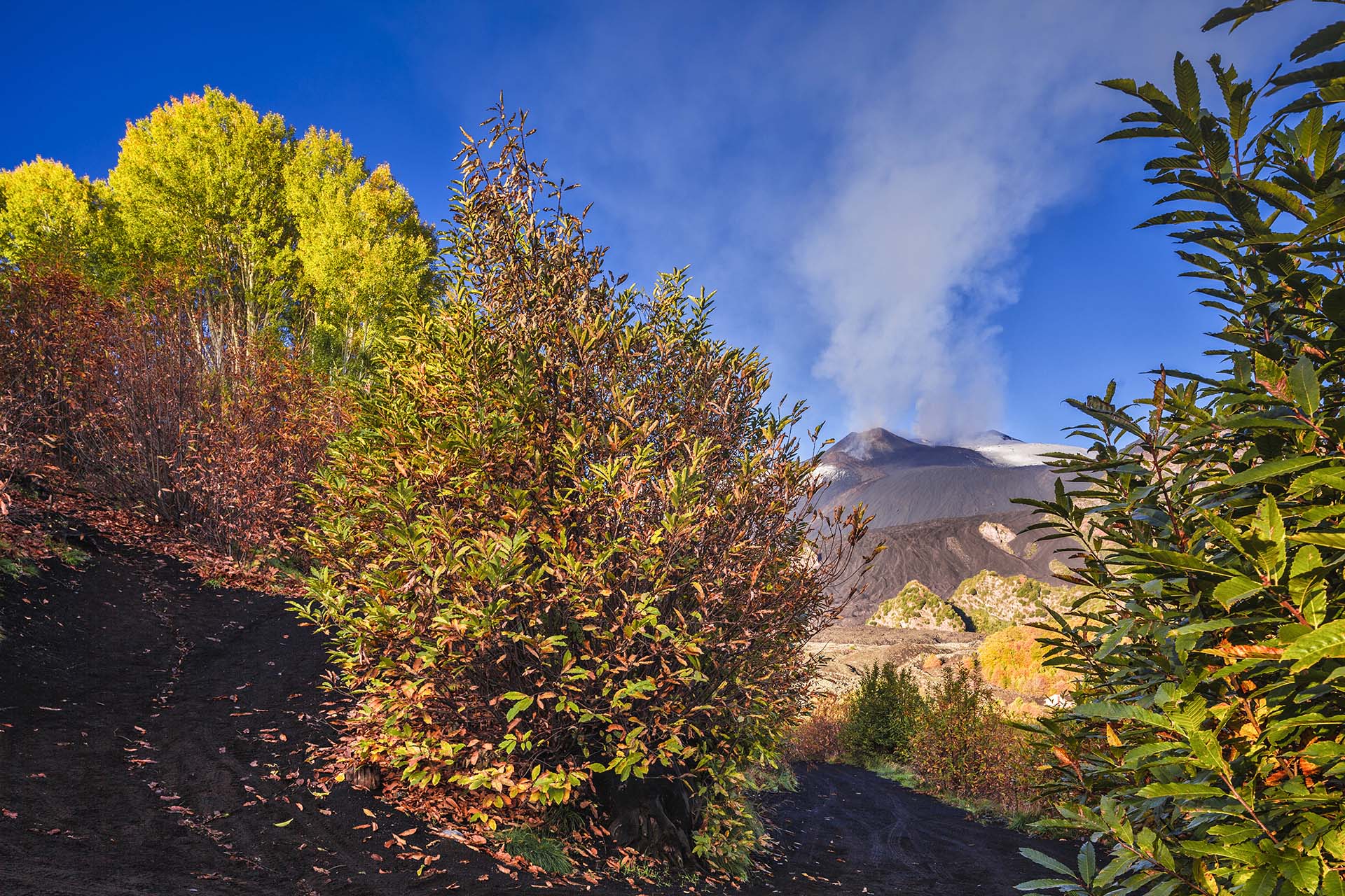 Etna, uno scorcio della Valle del Bove vista da Monte Fontane e i crateri sommitali in attività vulcanica