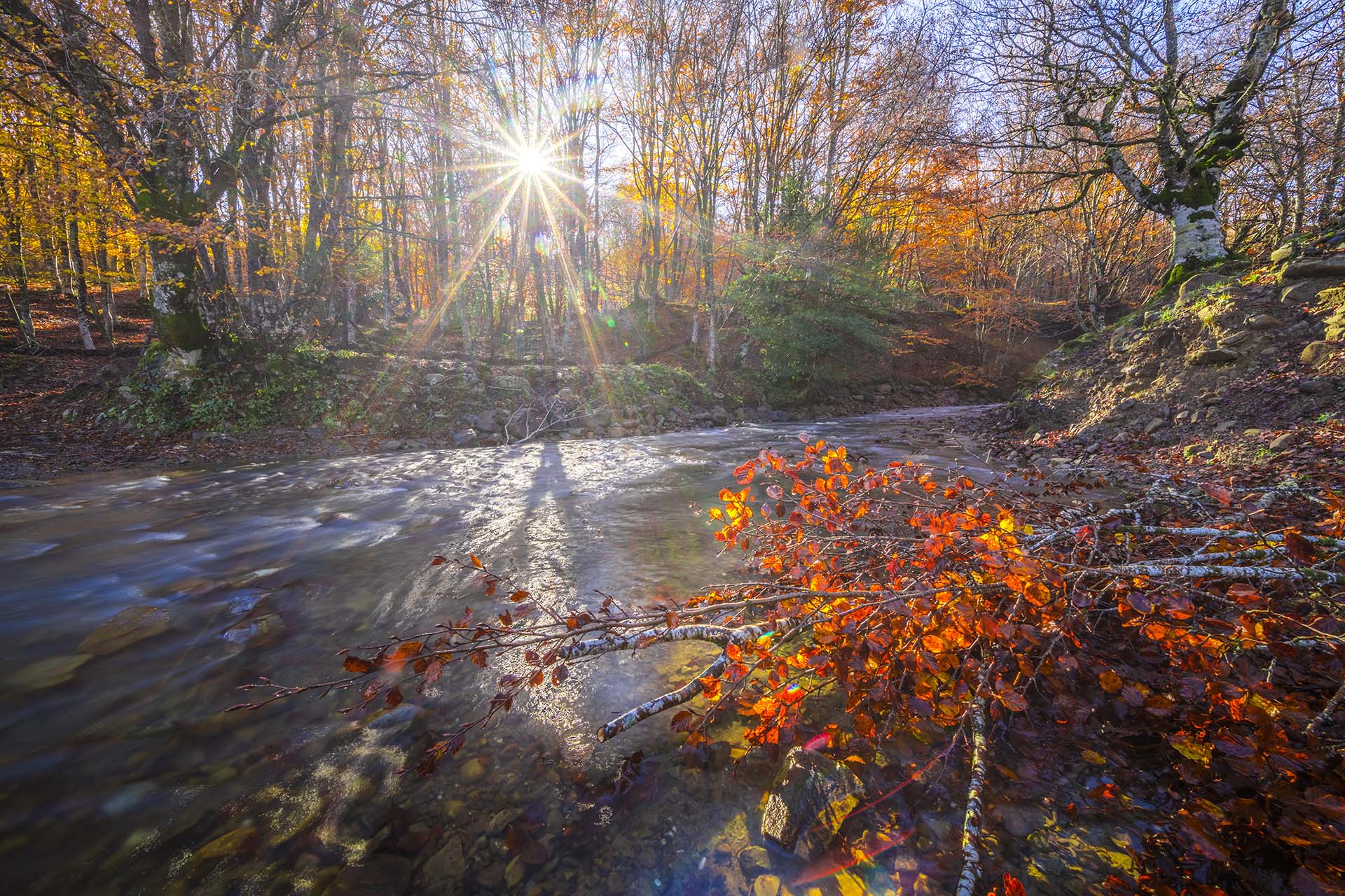 Monti Nebrodi, ruscello lungo la dorsale tra i boschi del Lago Biviere