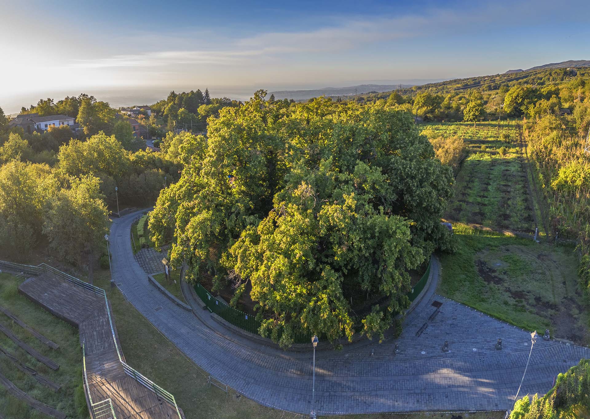 Etna, Sant'Alfio, il Castagno dei Cento Cavalli