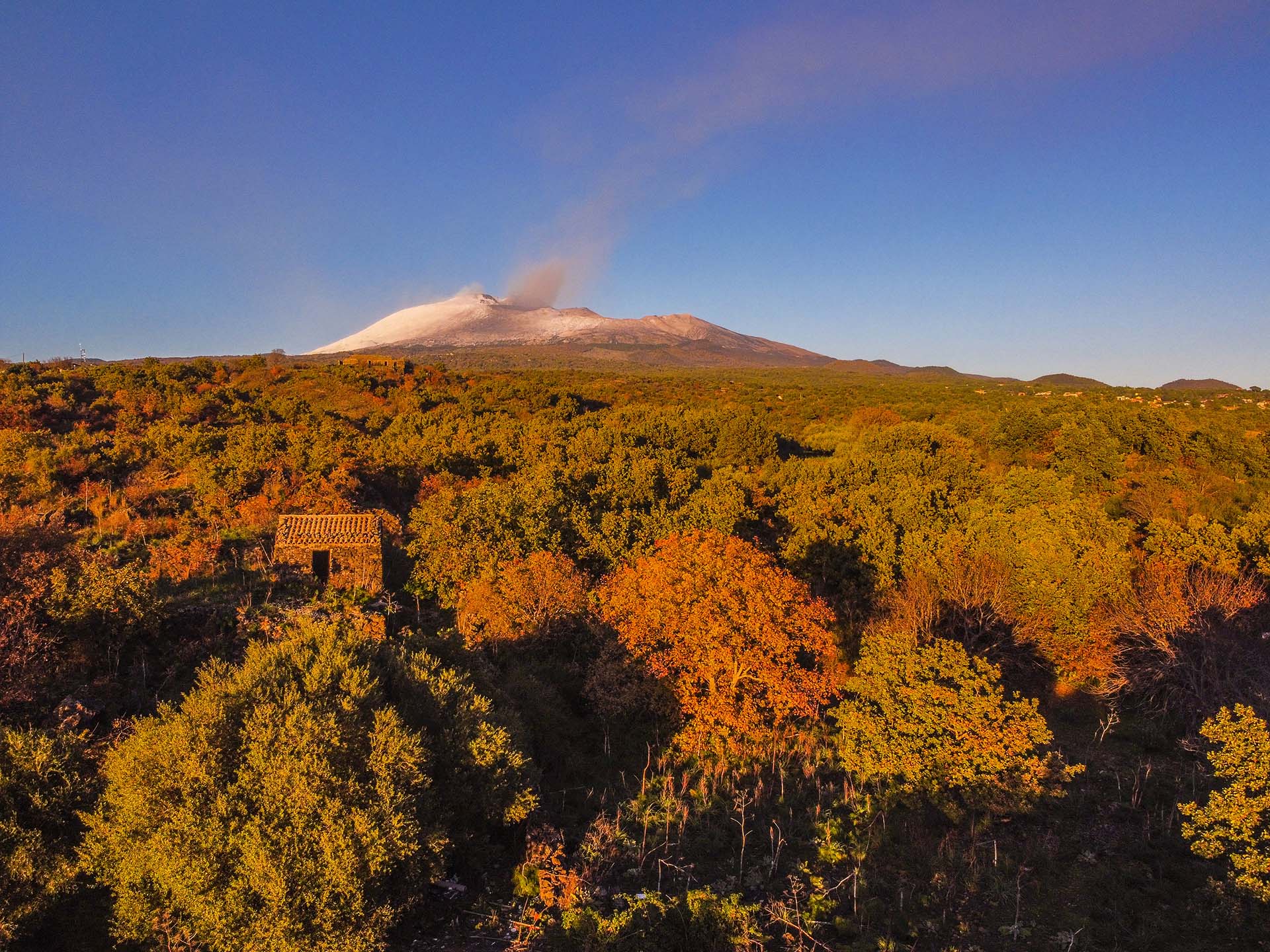 Etna versante ovest, i boschi di Ragalna