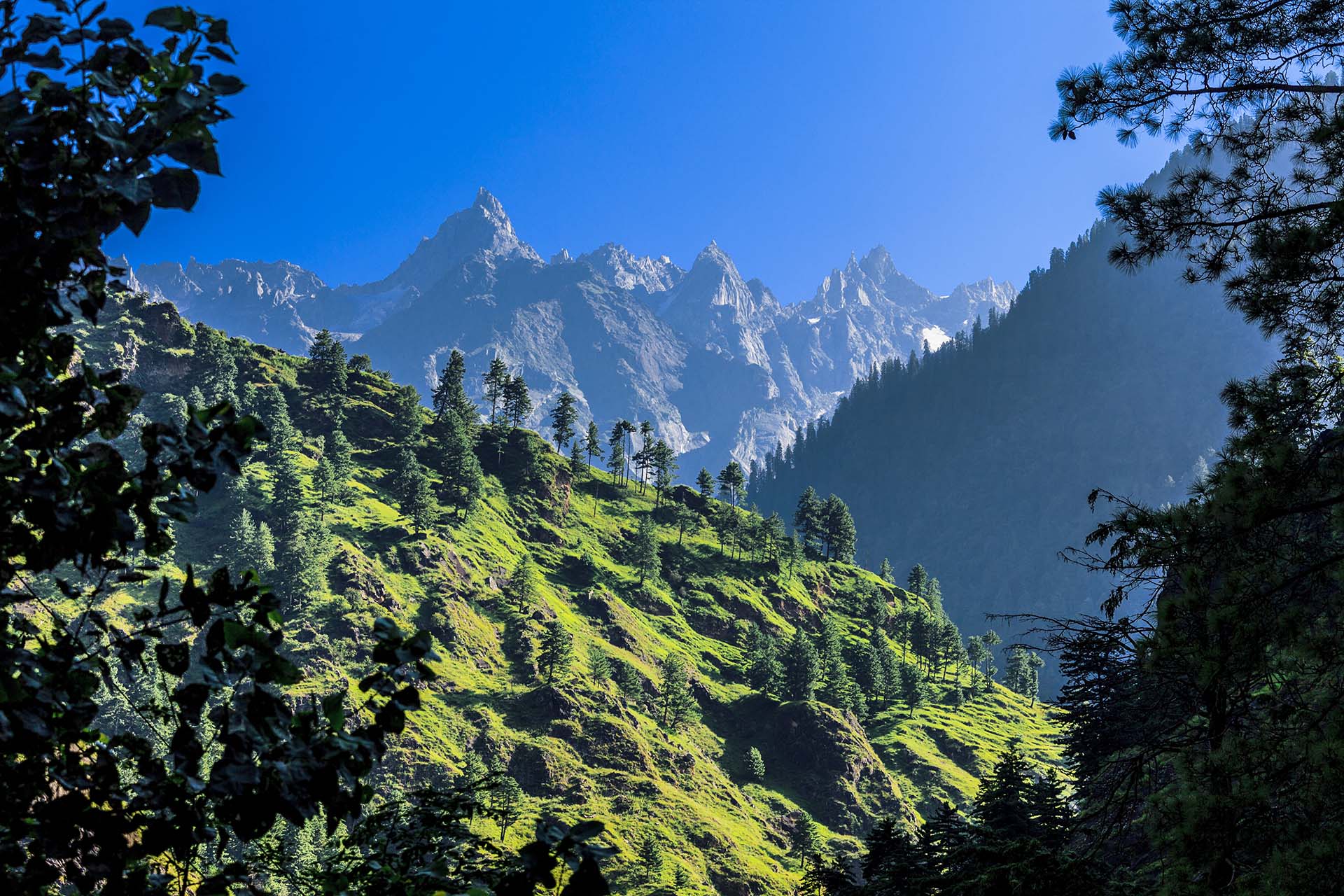 India, i boschi di Kasol e le montagne Himalayane