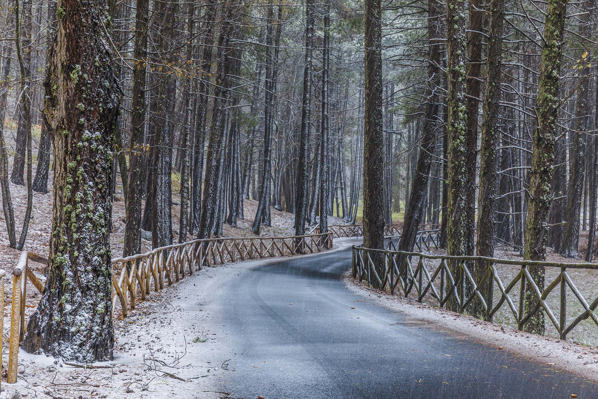 Etna, la strada della Milia sotto la neve