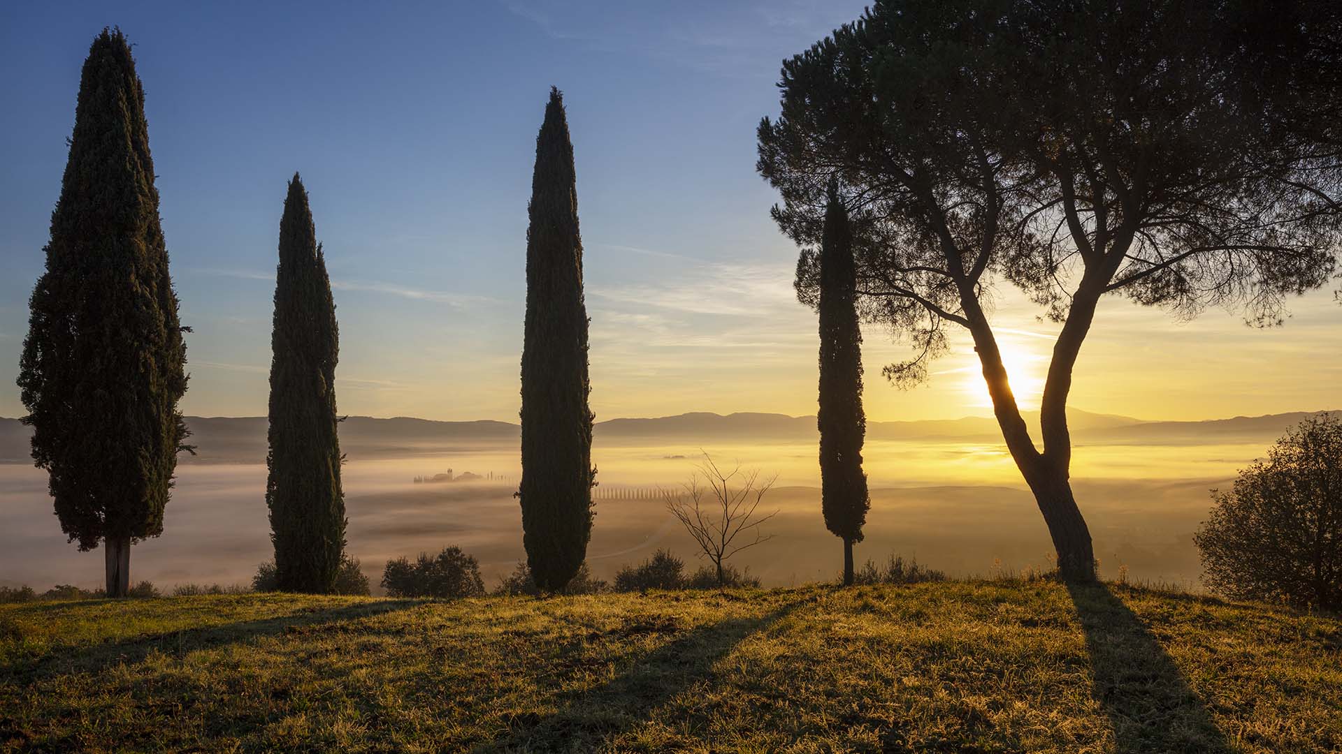 Paesaggio della Val d'Orcia.