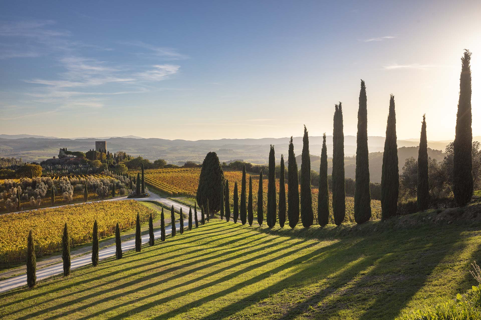 Paesaggio della Val d'Orcia con il castello di Argiano.