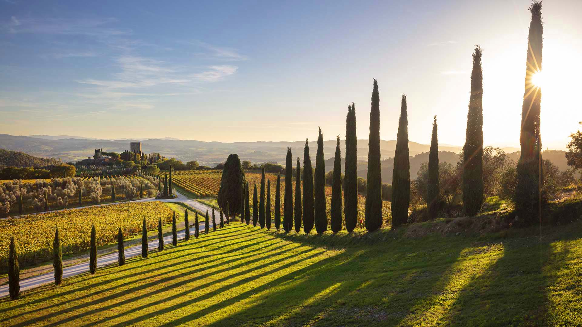 Paesaggio della Val d'Orcia con il castello di Argiano.