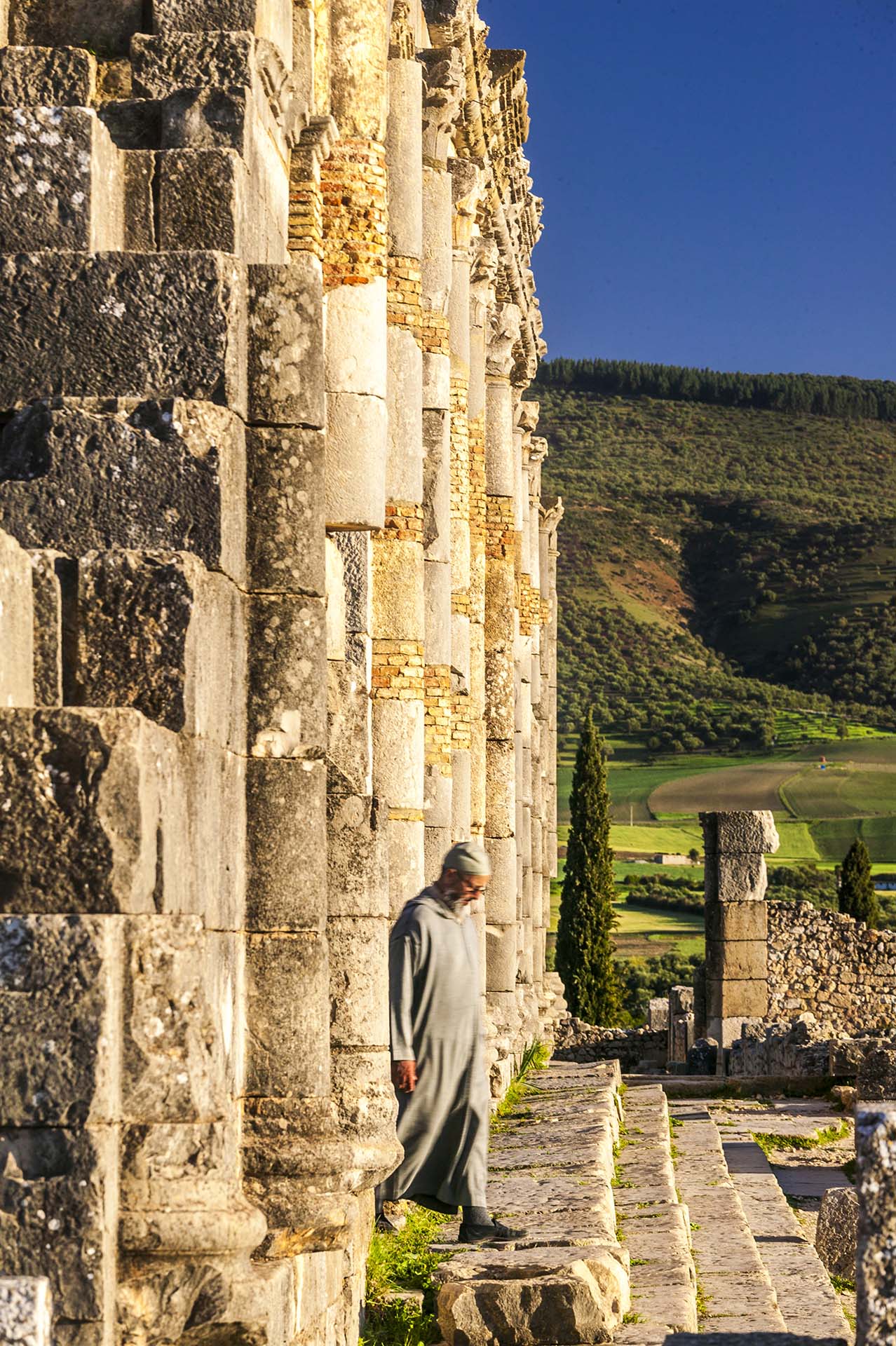 Marocco, Meknes, le colonne del tempio romano di Volubilis